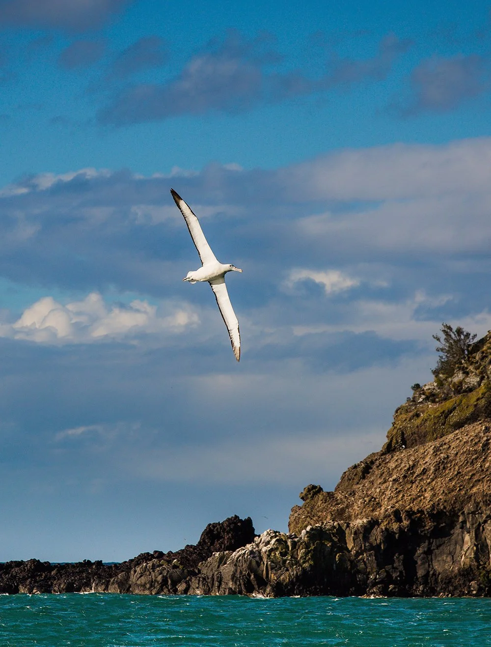 Lighthouse & Alby-4858.jpg