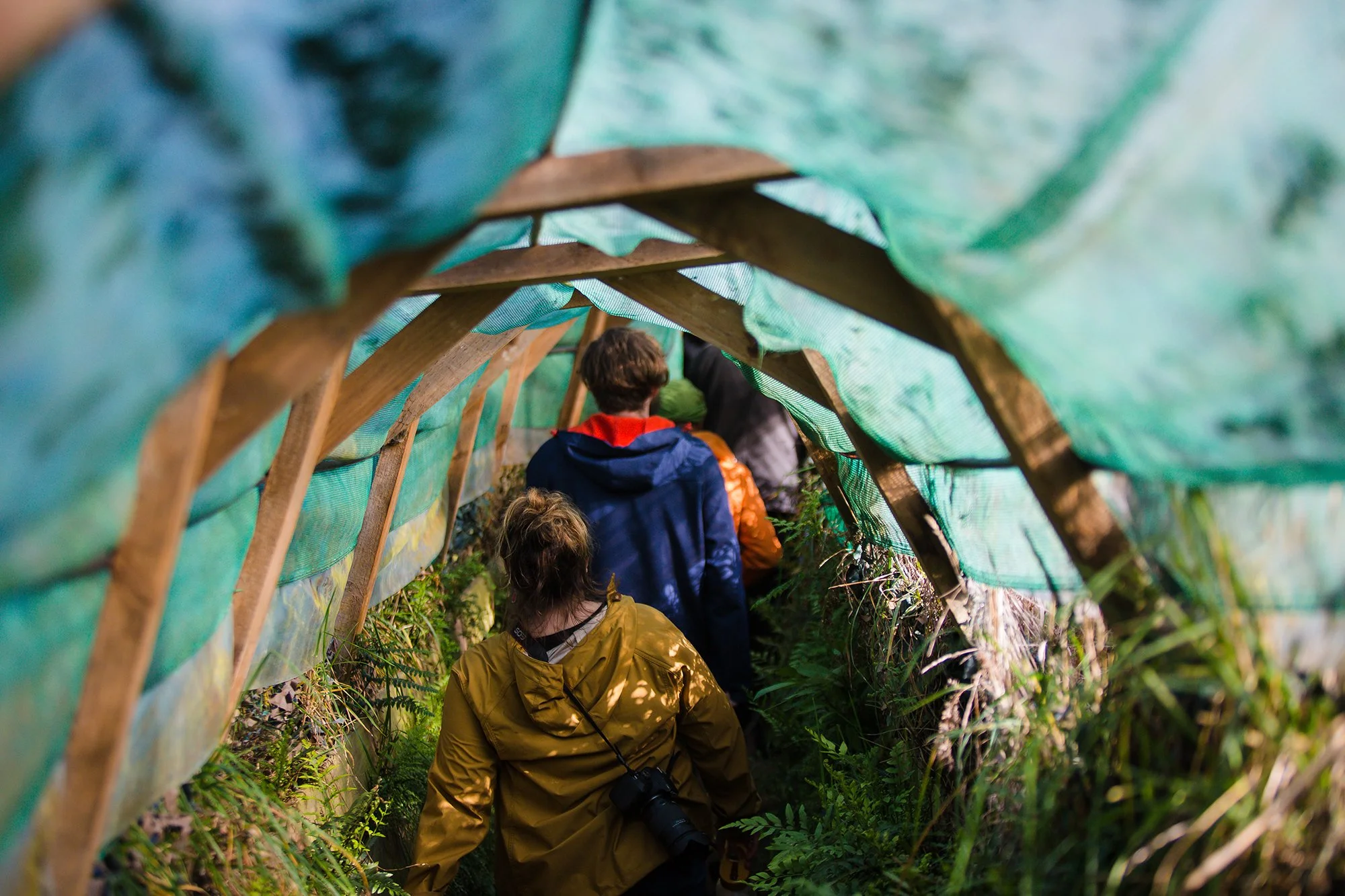 Penguin Place tunnels.JPG