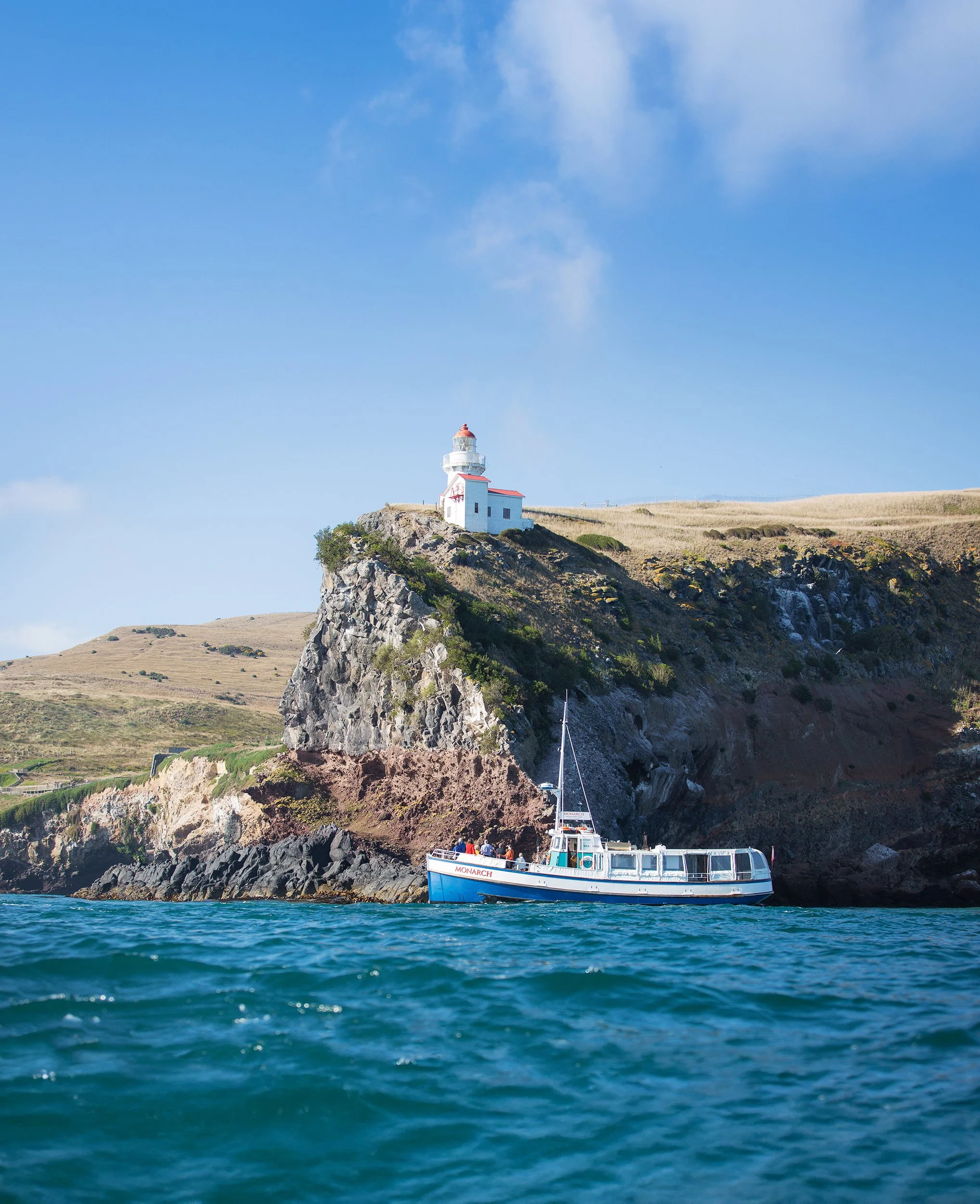 Taiaroa Head 02.jpg