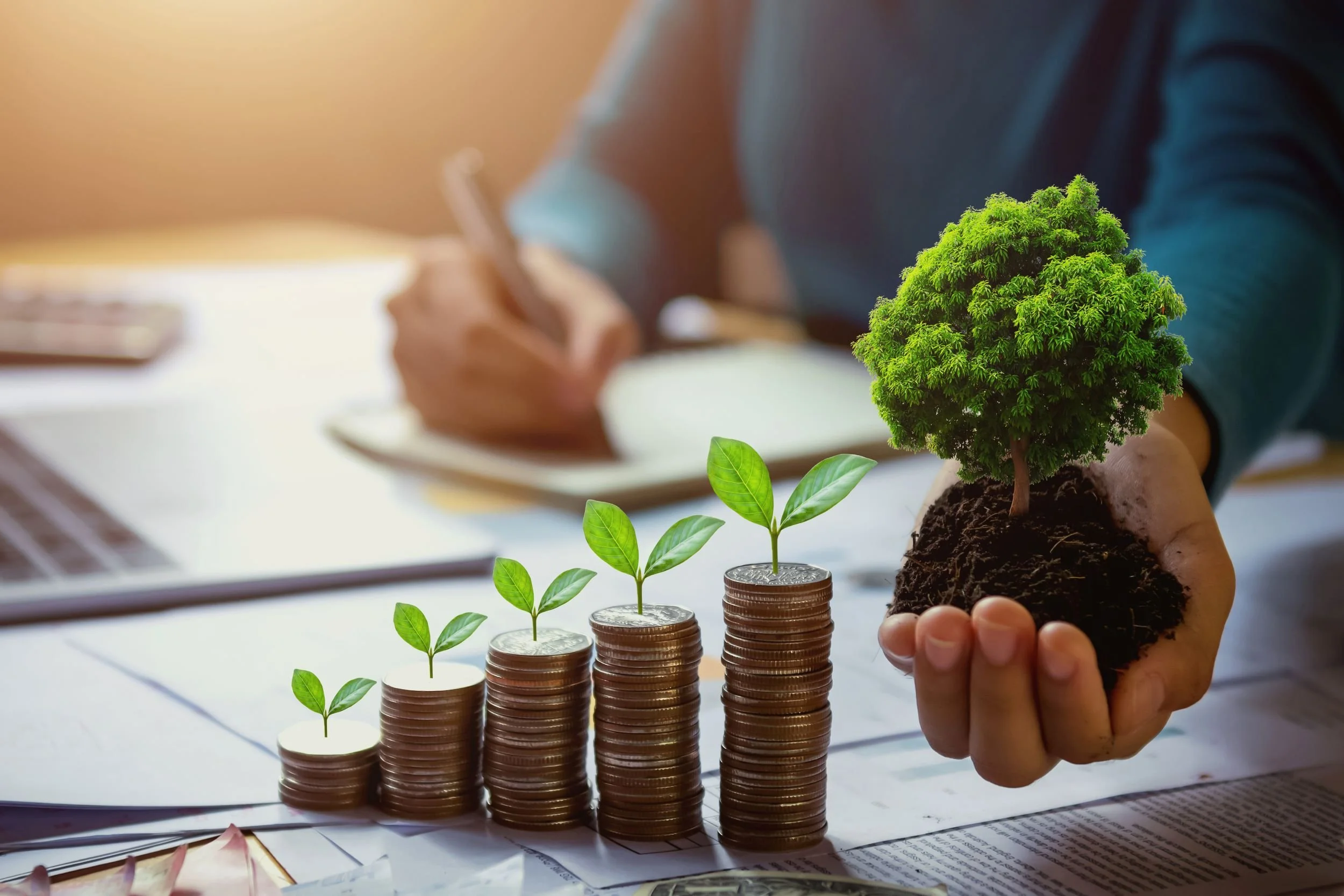 A notetaking business woman holds growing tree in other hand next to towers of coins