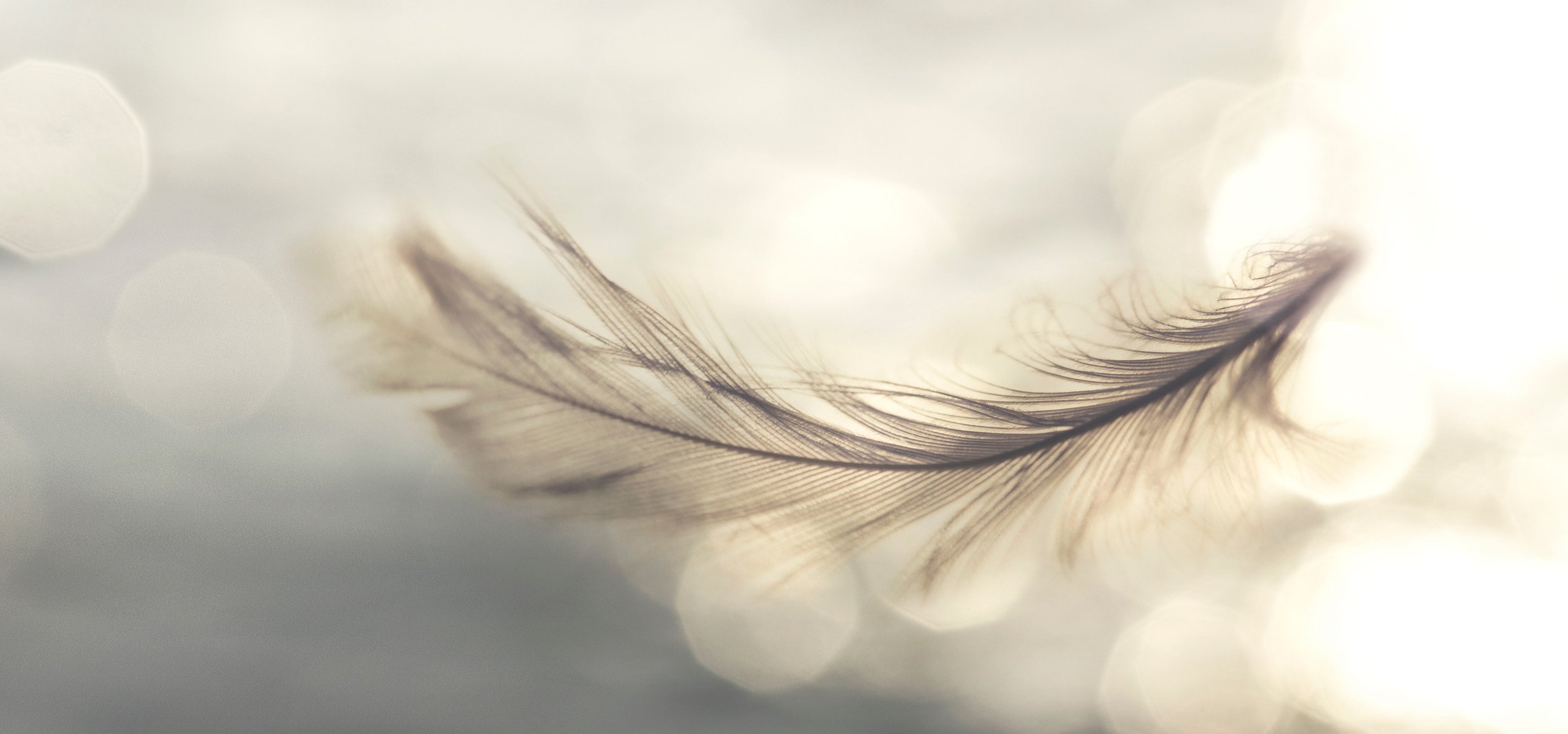 How Spirit Guides Help You in Business