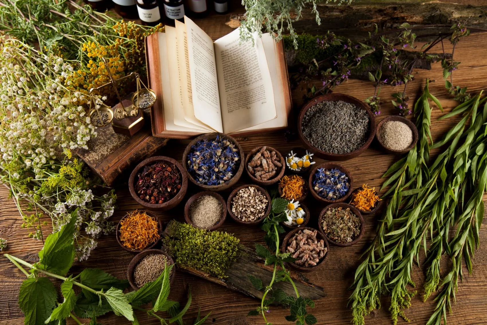 Witchy variety of herbs with book and essential oils on table