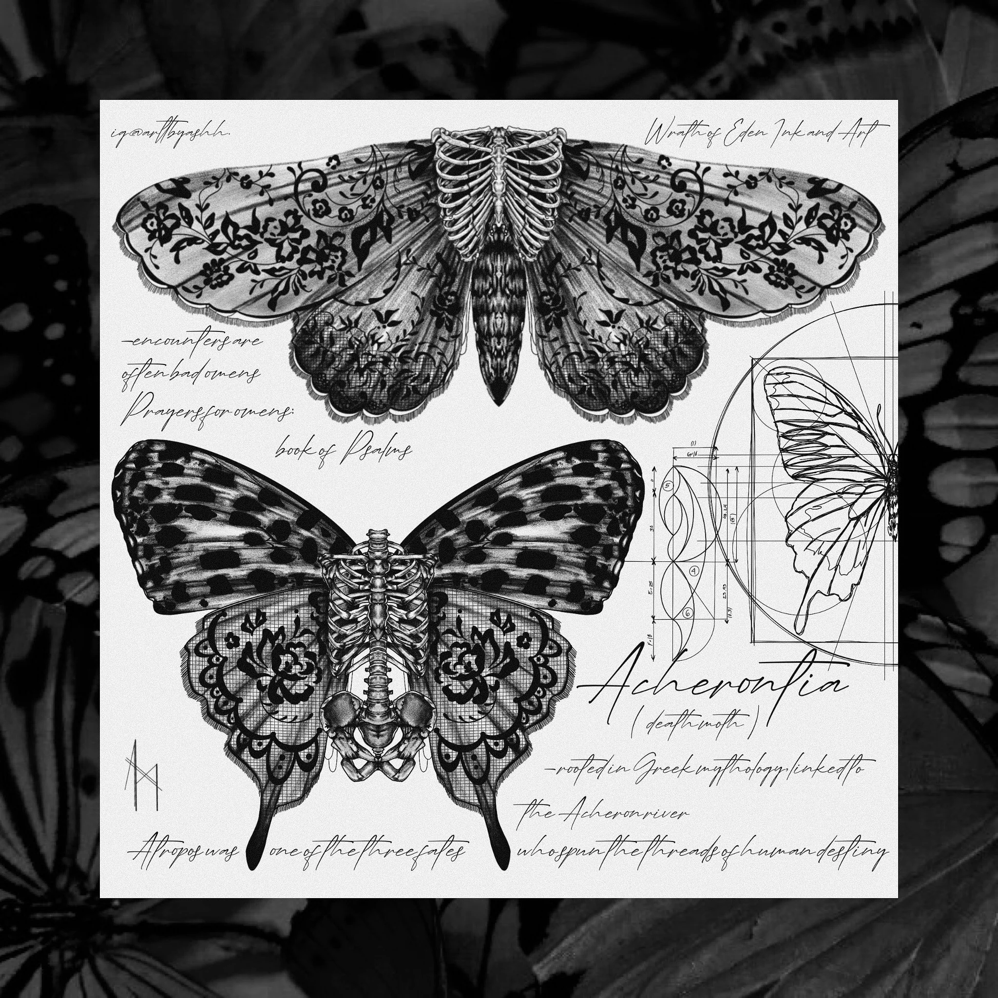 ED32F1AD-4811-446C-91B7-4260D00EE1B1 2.JPG