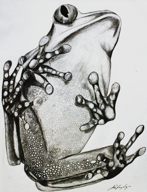 froggy.png