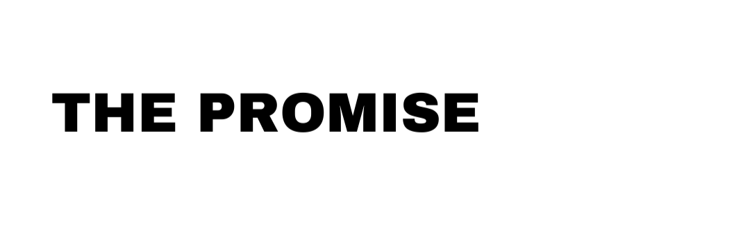 The promise; life title