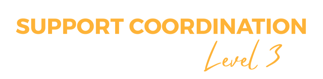 Support Coordination Level 3 title