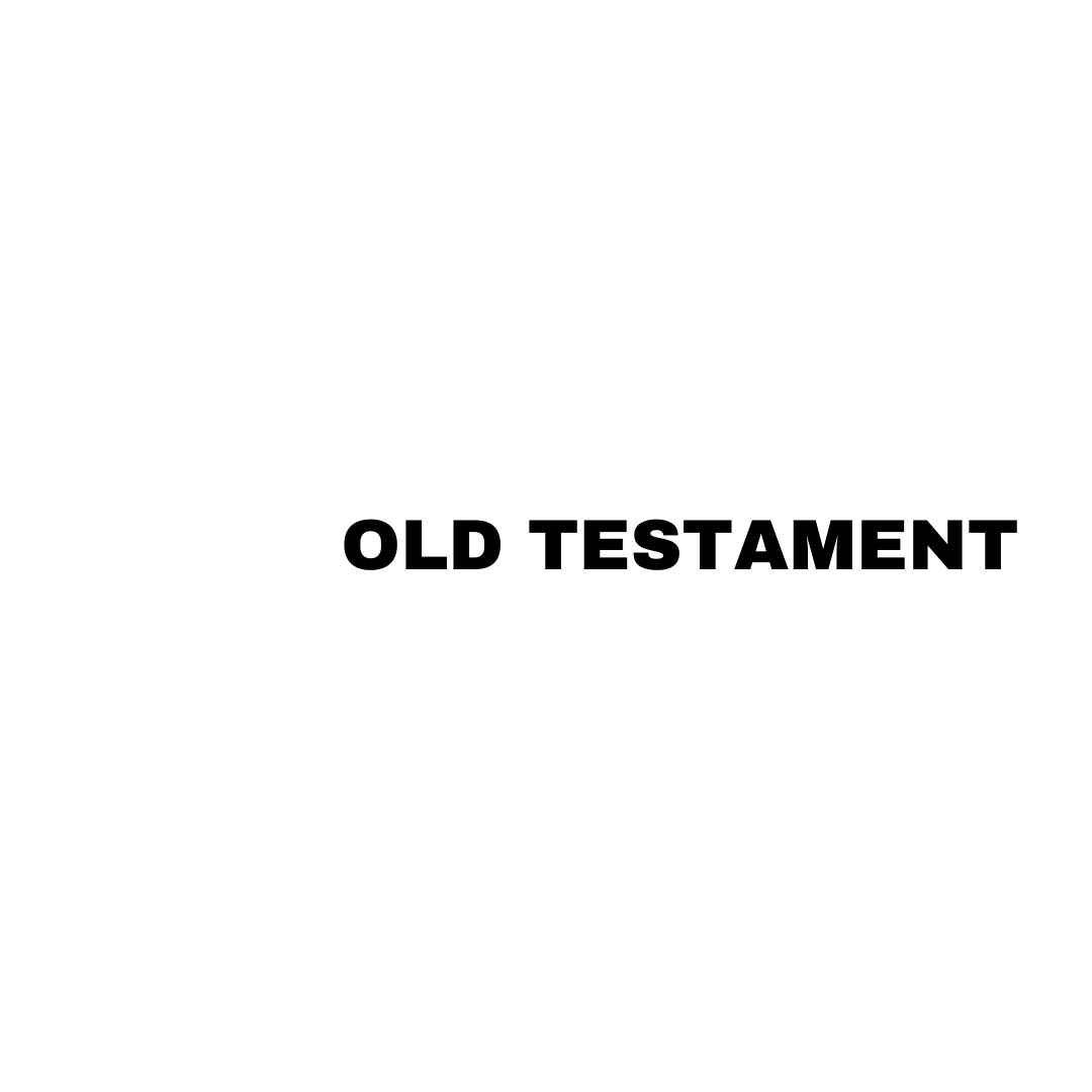 Next Old testament. Click to navigate to next lesson in the walk with Jesus teaching series