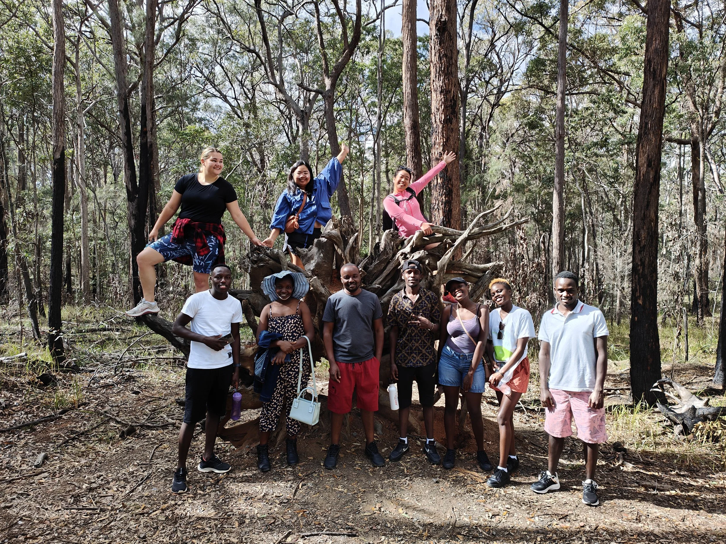 Group of people posing in a forest with some sitting on a large tree root, others standing or sitting nearby, some with their arms raised or holding hands.