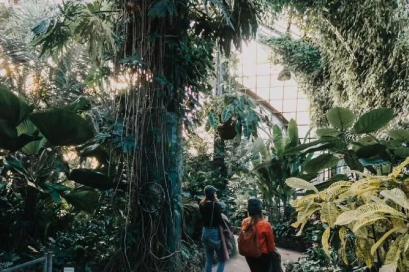 la naturaleza puede ayudar a curar la depresión en la zona de Chicago