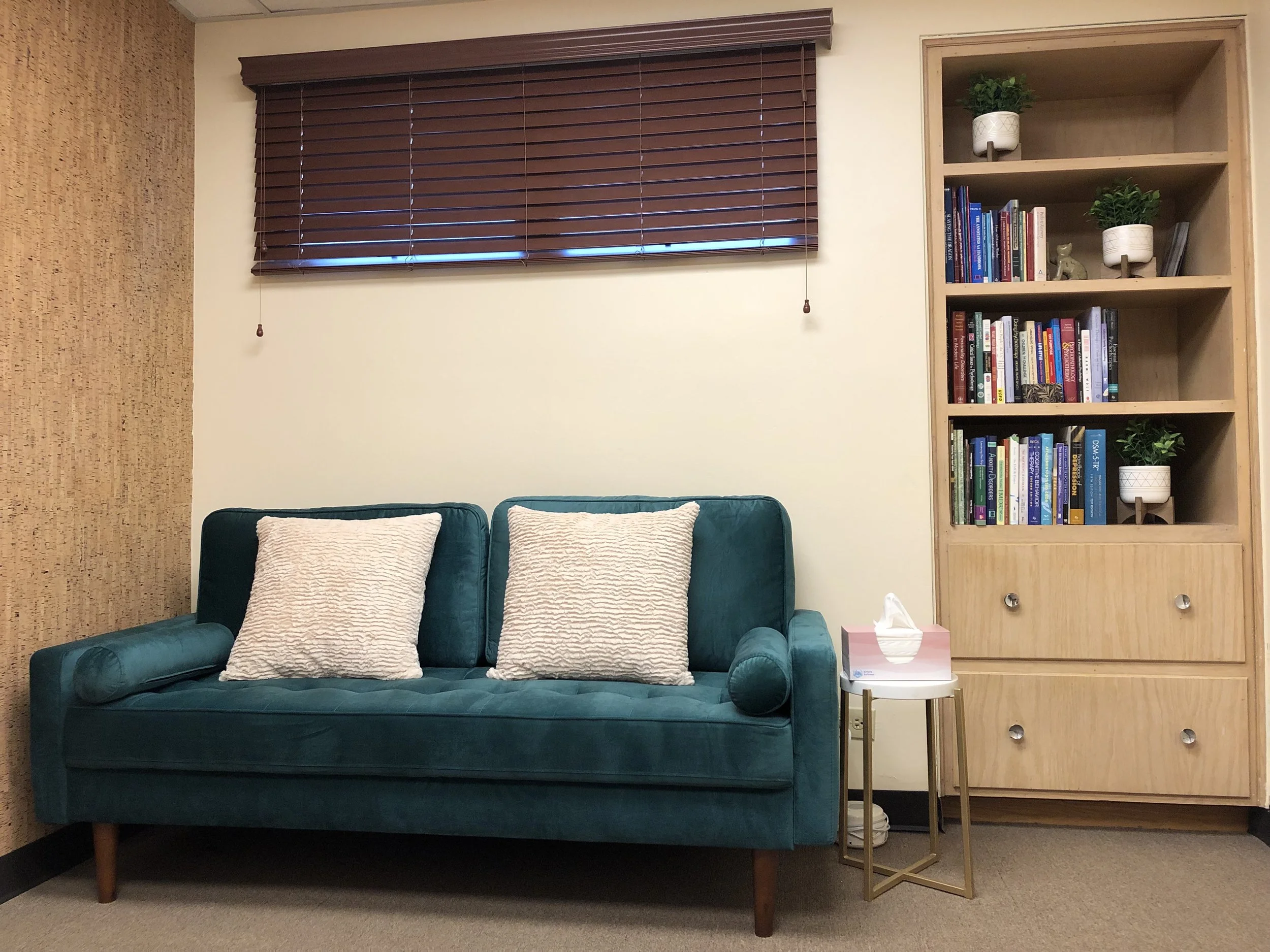 Comfortable therapy office for teens and young adults in need of Polyvagal informed support in North Riverside