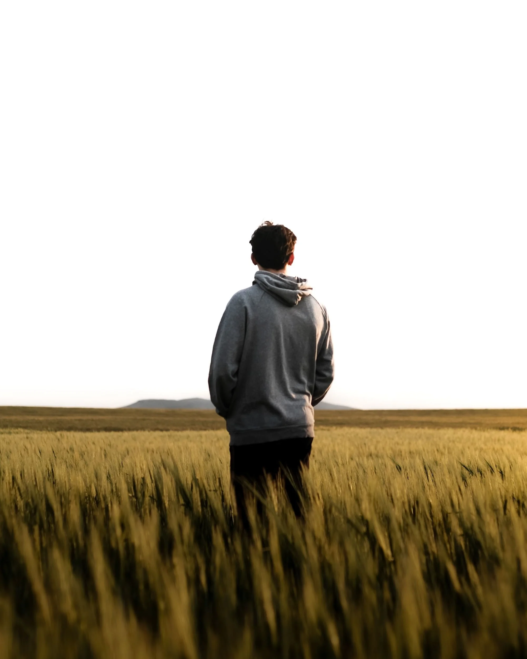 Young man seen from behind, standing alone in a golden wheat field wearing a grey hoodie, looking out at a hazy horizon