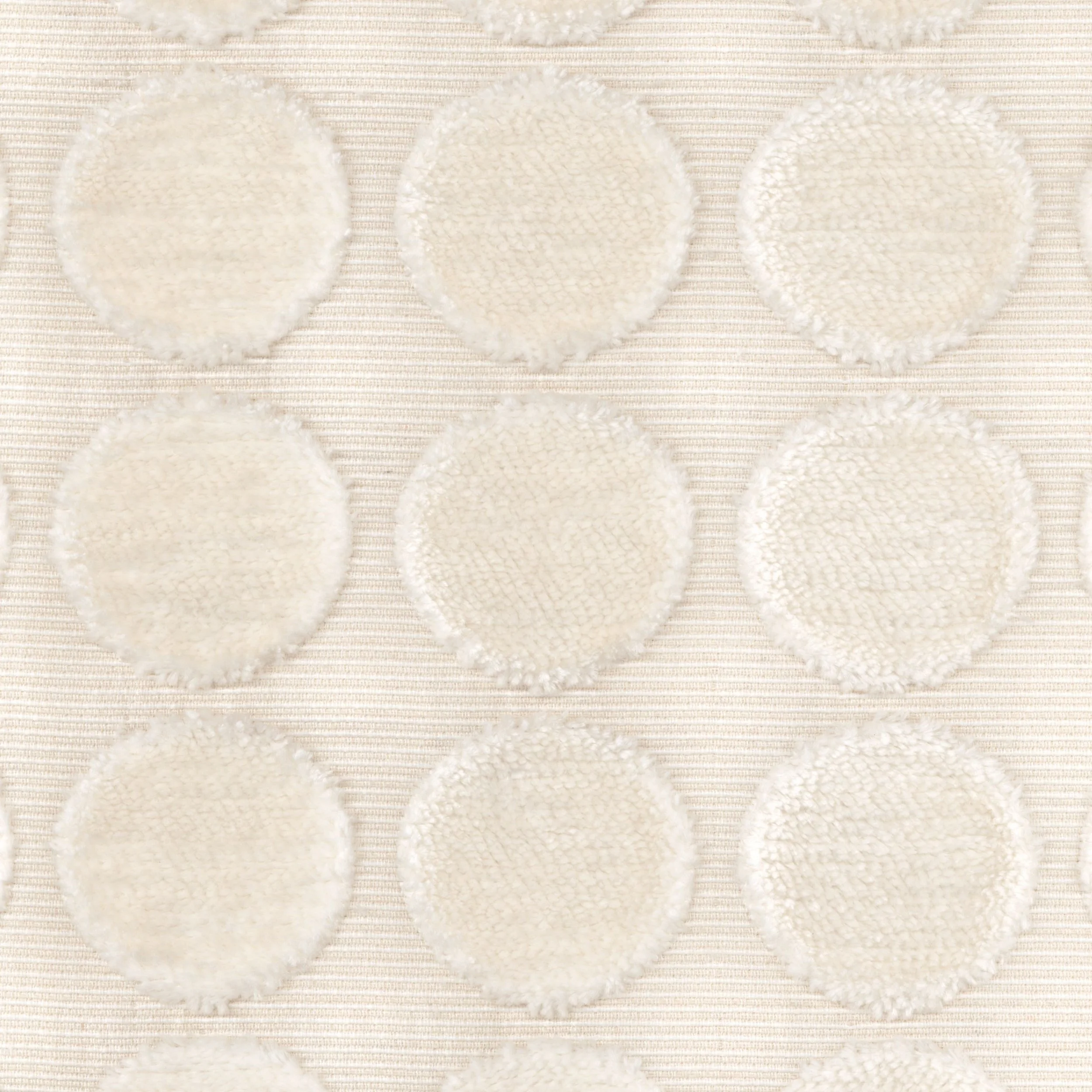 Fadrie Cycle FAD 148-1.jpg