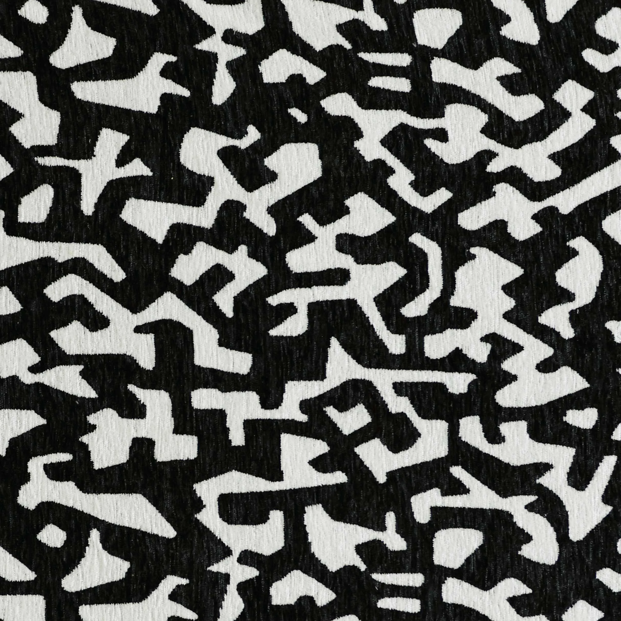 XSD2941-6.jpg