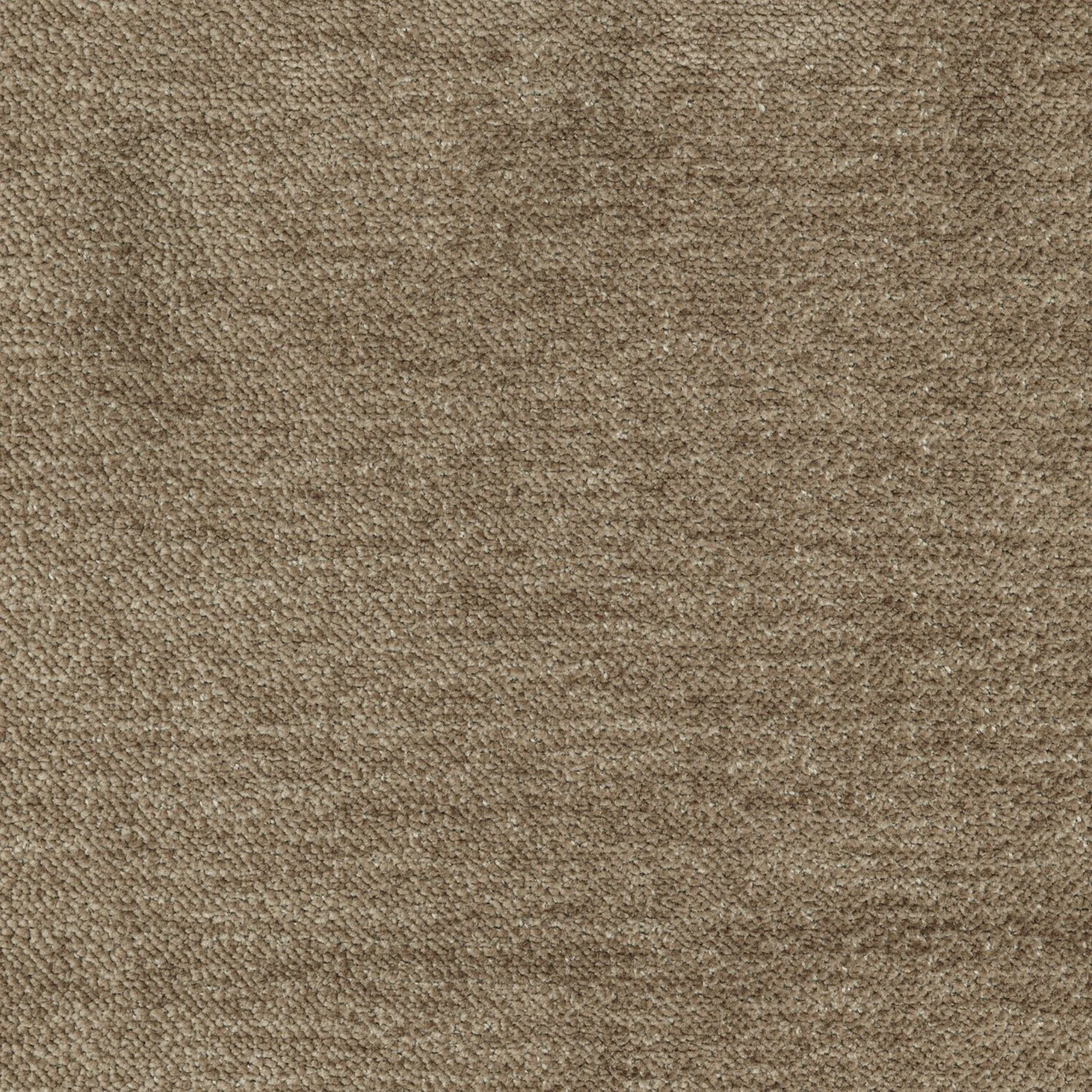 2773-7.jpg