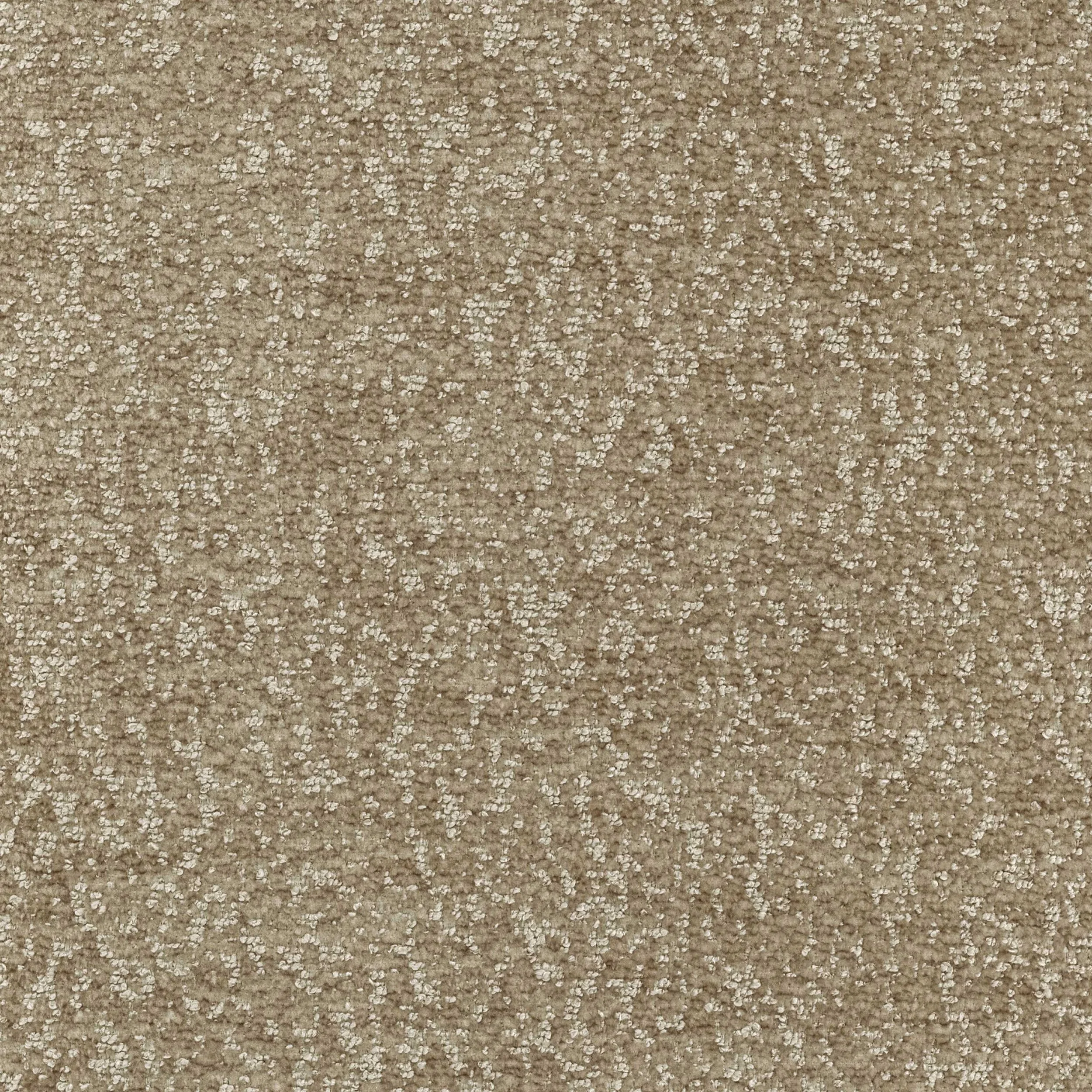 3102-3.jpg