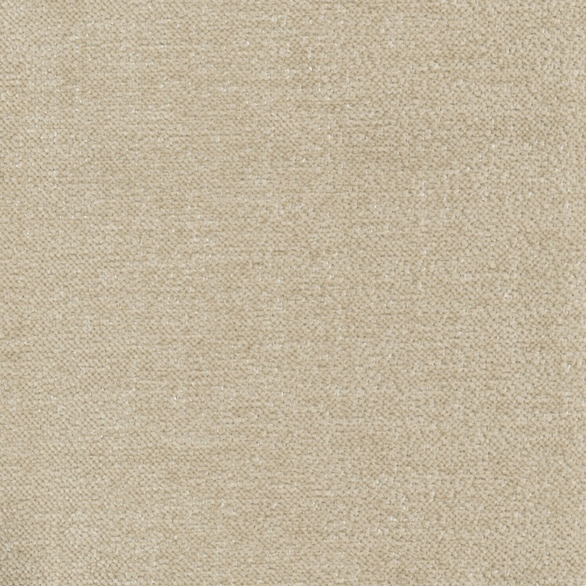 2773-2.jpg