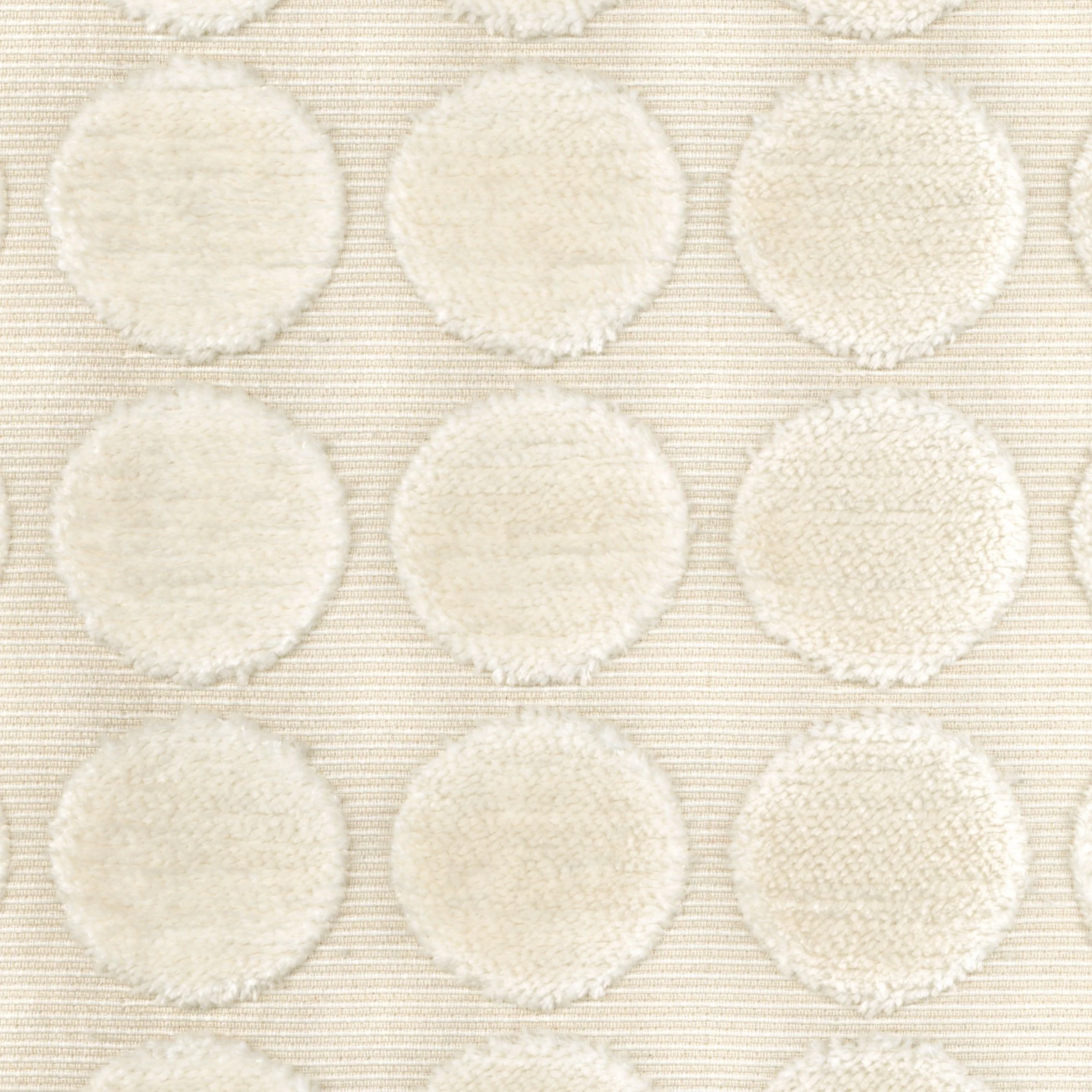 Fadrie Cycle FAD 148-2.jpg