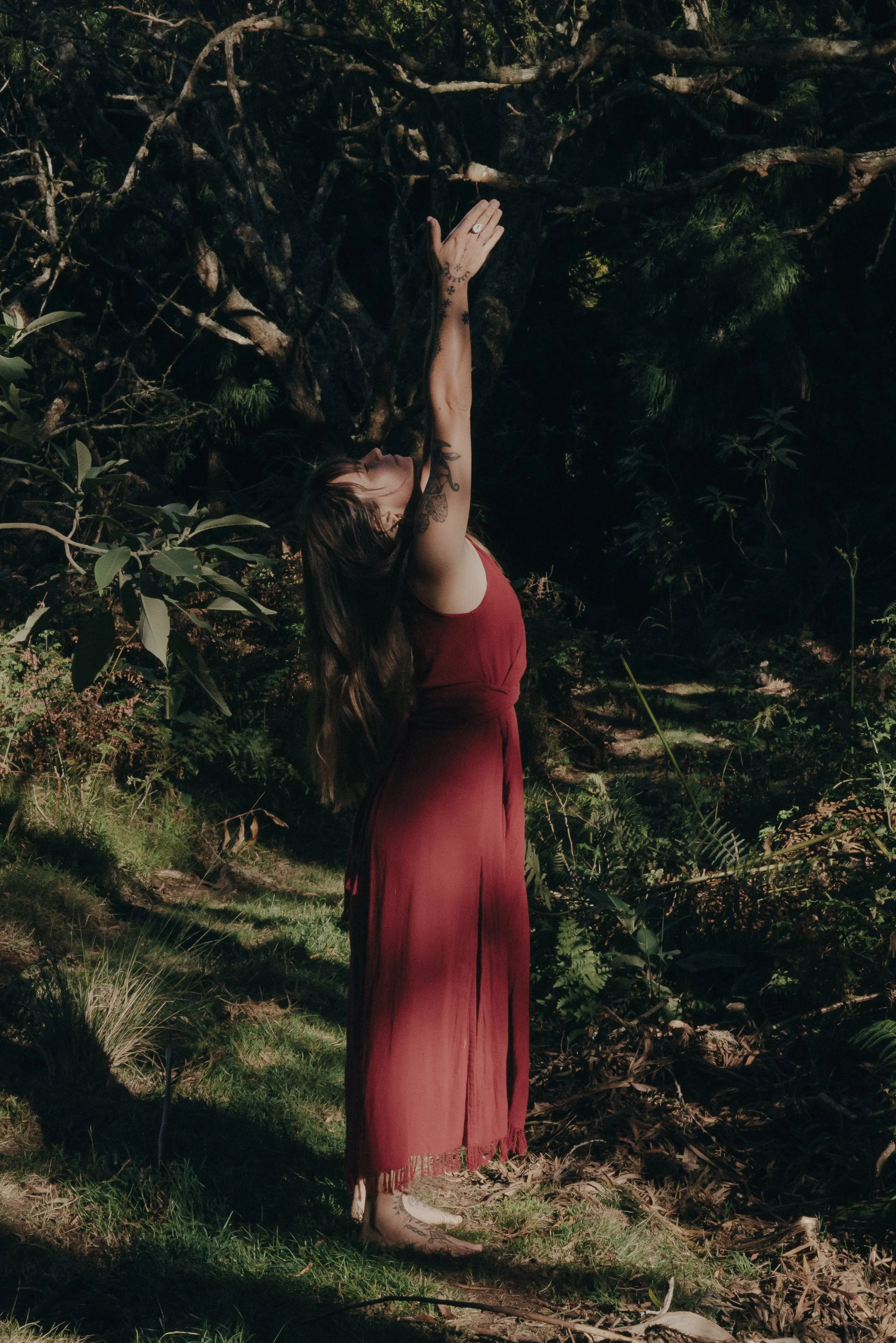 Une femme portant une robe rouge foncé se tient dans la nature, levant une main vers des branches d'arbres. Elle a des tatouages sur le bras et la jambe, et porte une bague. La scène est en plein air avec des plantes et des arbres en arrière-plan.