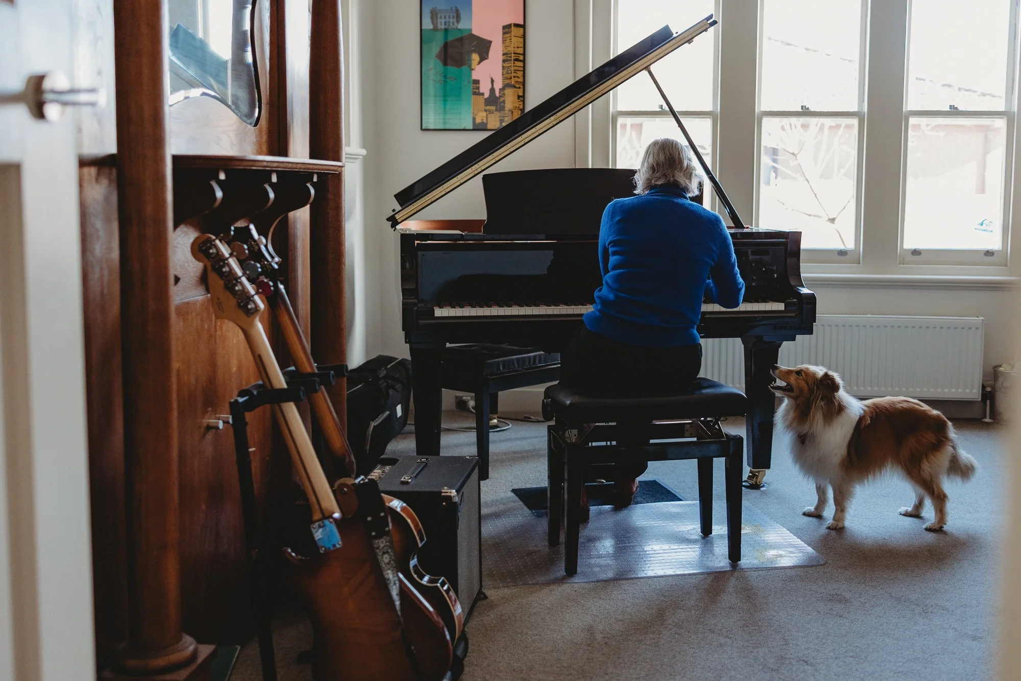 A person playing a grand piano in a well-lit room with large windows, accompanied by a dog standing nearby.