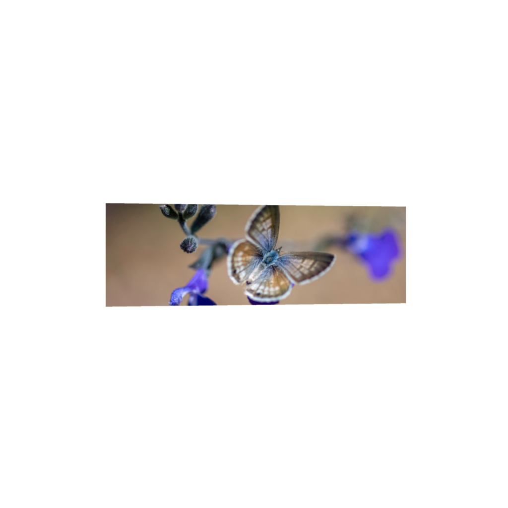 ptq_1_2_0_835_5014_1671_0_false_ffffff_0_0_.png