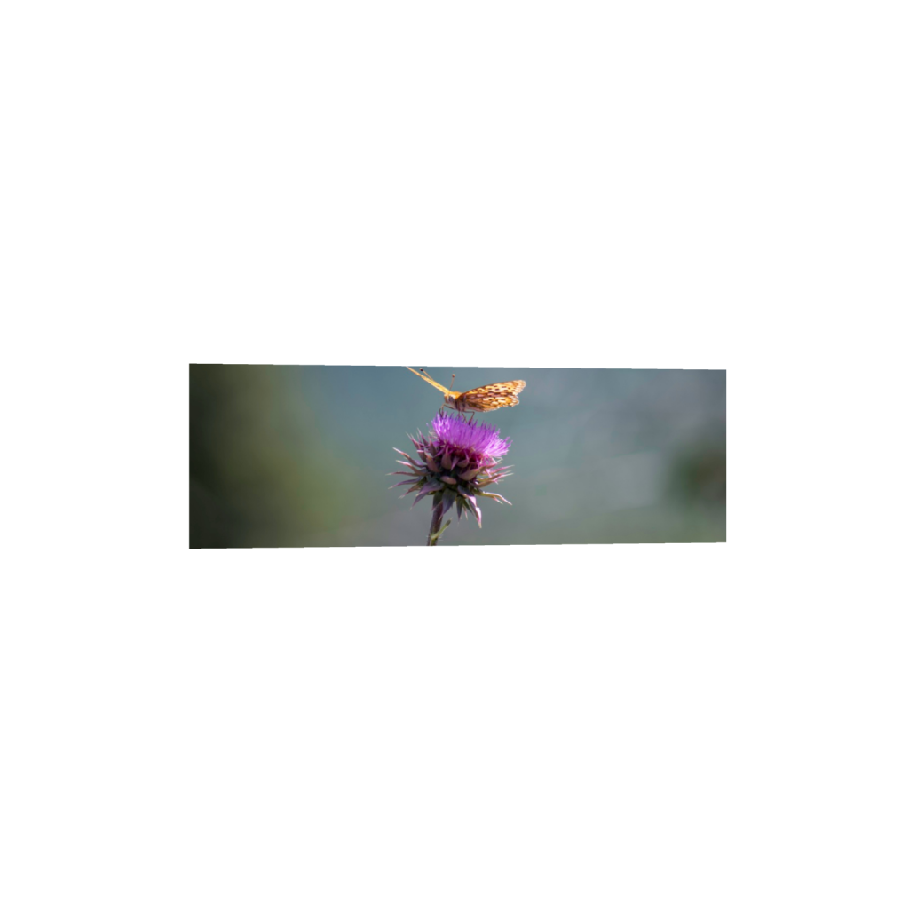 ptq_1_2_0_772_4637_1545_0_false_ffffff_0_0_.png