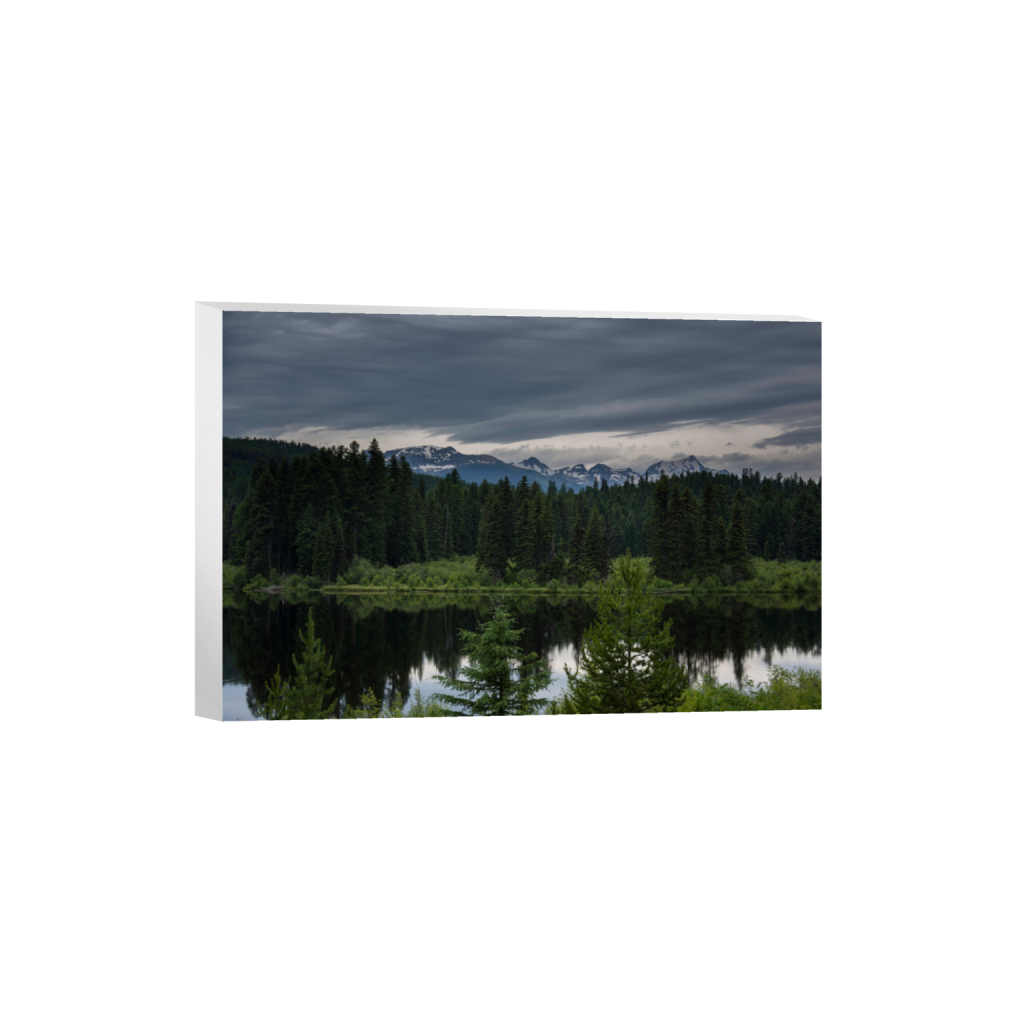 ptq_7_3_0_0_6000_4000_0_false_ffffff_0_0_.png