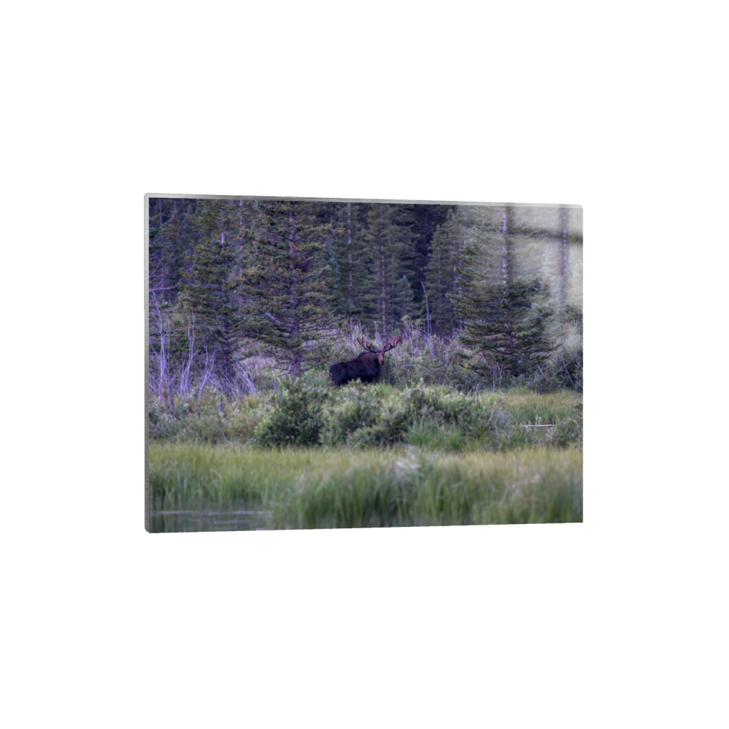 ptq_13_5_333_0_5333_4000_0_false_ffffff_0_0_.png
