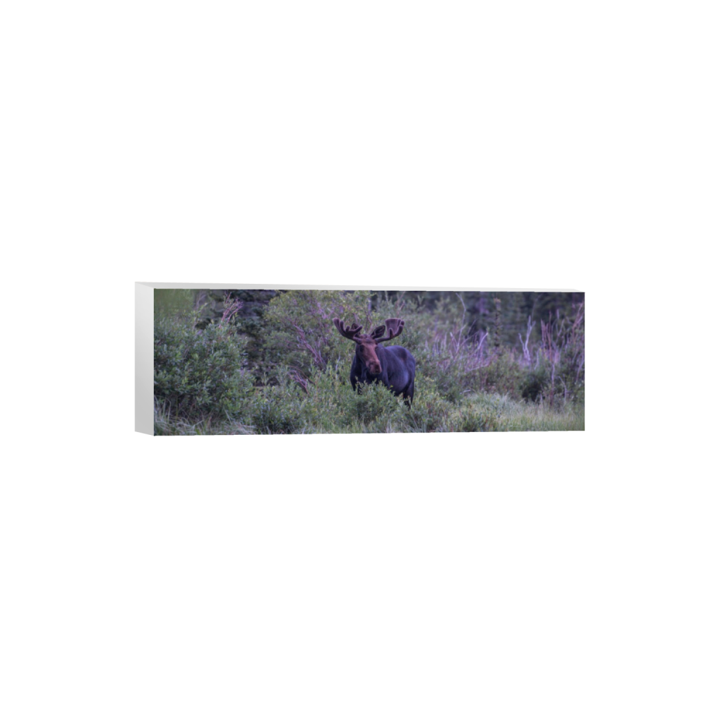 ptq_7_2_0_900_6000_2000_0_false_ffffff_0_0_.png