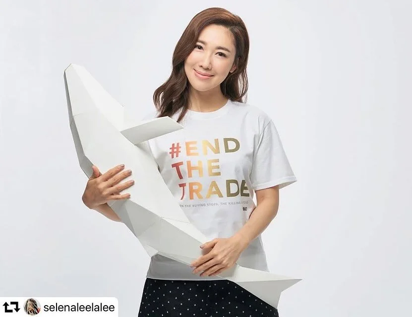 #EndTheTrade Conservation Campaign 🦔🦔🦔

Whiskers N Paws, WildAid, and Yum Me joined forces to launch the #EndTheTrade Conservation Journey, a powerful campaign dedicated to ending the urban commercial trade of wildlife for consumption.

This 360&d