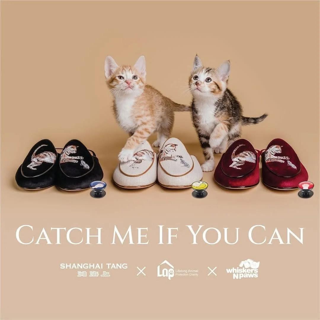 &ldquo;Catch me if you can&rdquo; Campaign 

Brand &amp; NGO Partnership &rarr; Multi-channel Marketing Strategy
Shanghai Tang x Whiskers N Paws x LAP (Lifelong Animal Protection) exclusive limited-edition loafer &amp; sneaker collection campaign.

T