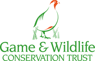 Logo of Game & Wildlife Conservation International featuring a stylized green deer with orange antlers and red accents.