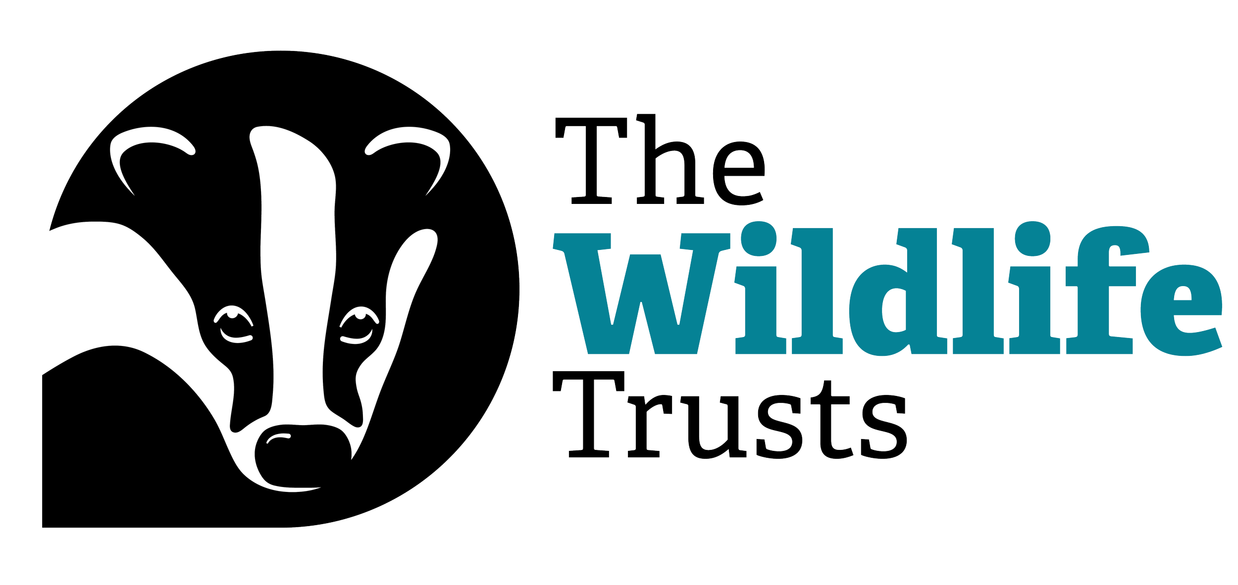 Logo with a stylized badger face and the text 'The Wildlife Trusts' with 'Wildlife' in blue and the rest in black and gray.