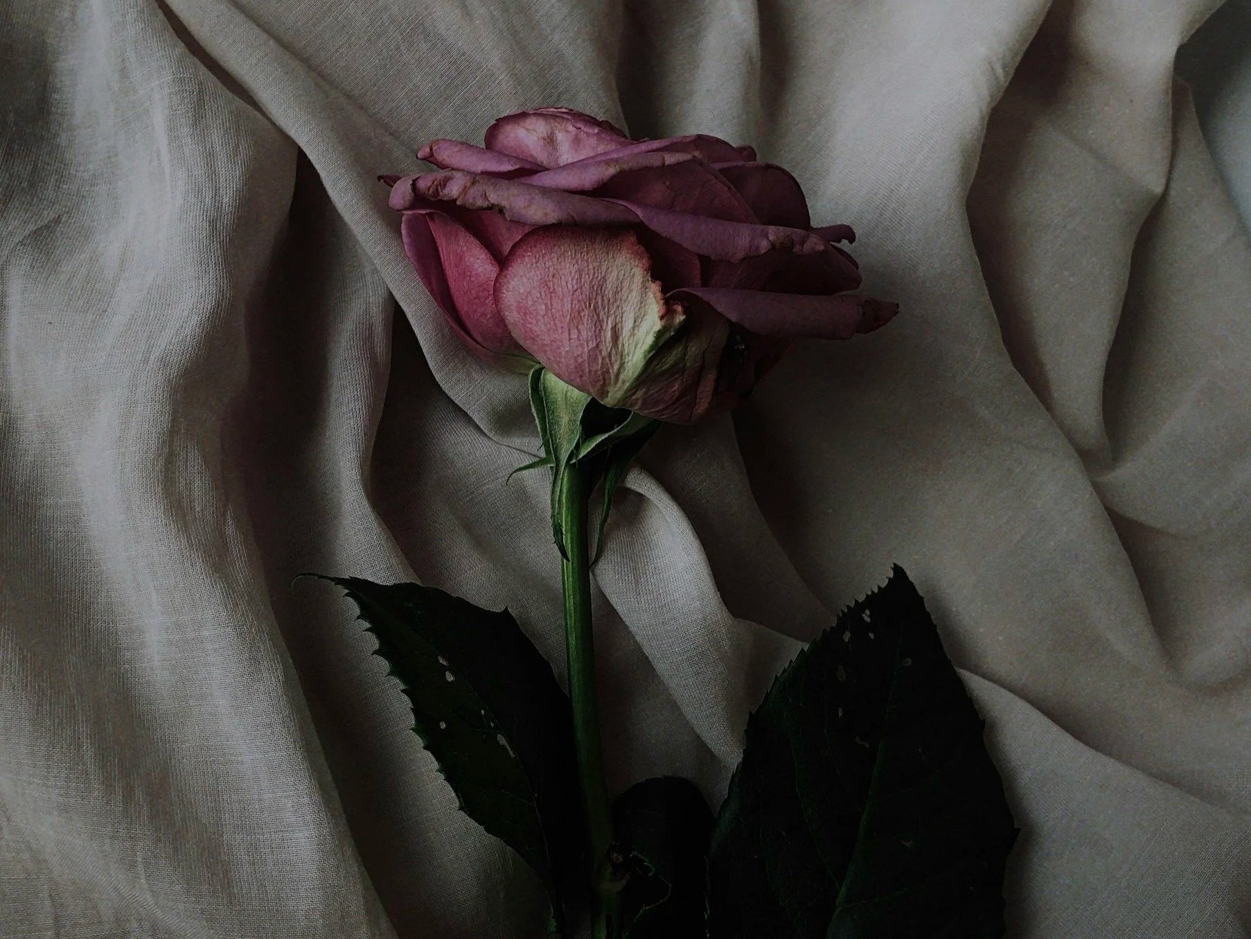 Hello Sorrow