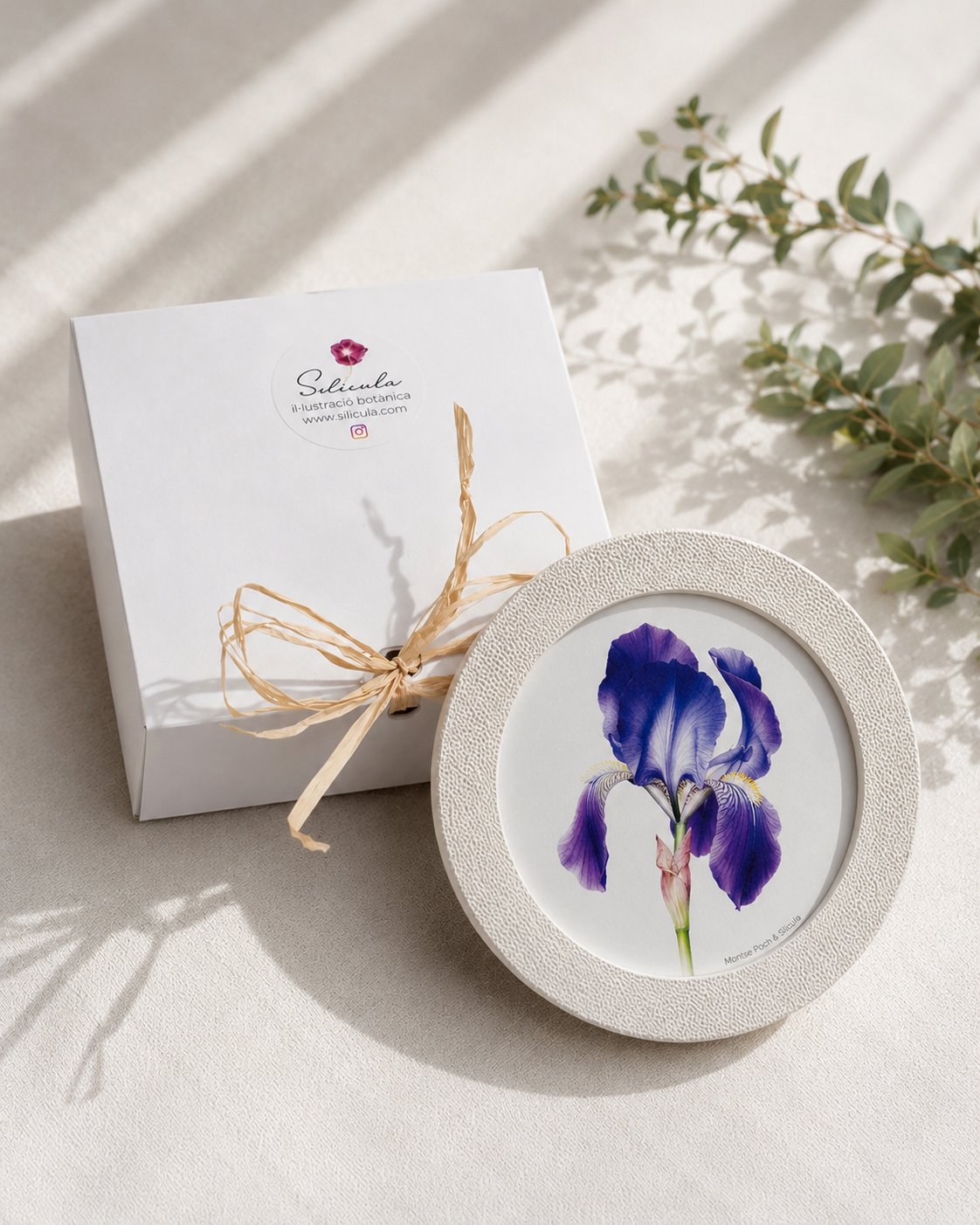 Packaging con marco circular con ilustración botánica flor lirio