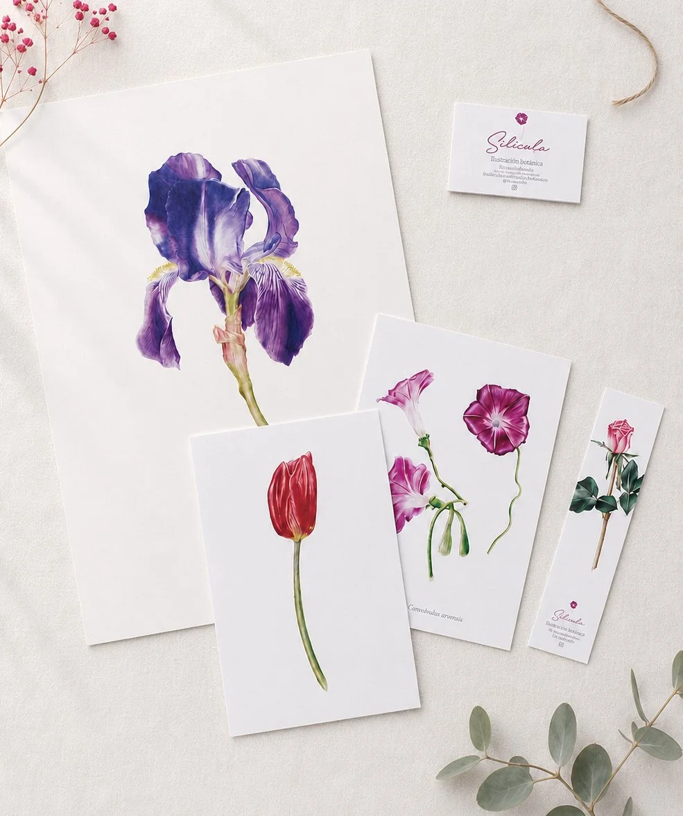 Pack regalo: lámina botánica + tarjetas ilustradas en acuarela + marcapáginas