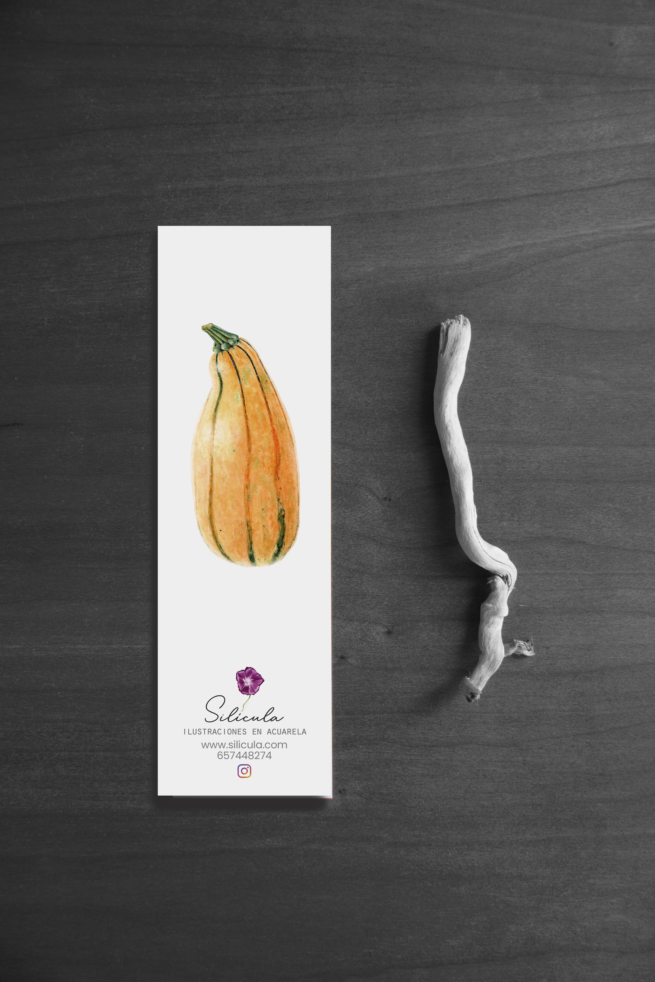 marcapagina-calabaza-acuarela-silicula.jpg
