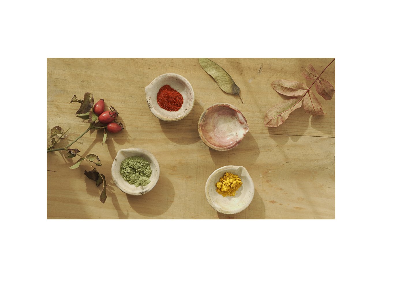 Fotos-pigments.jpg