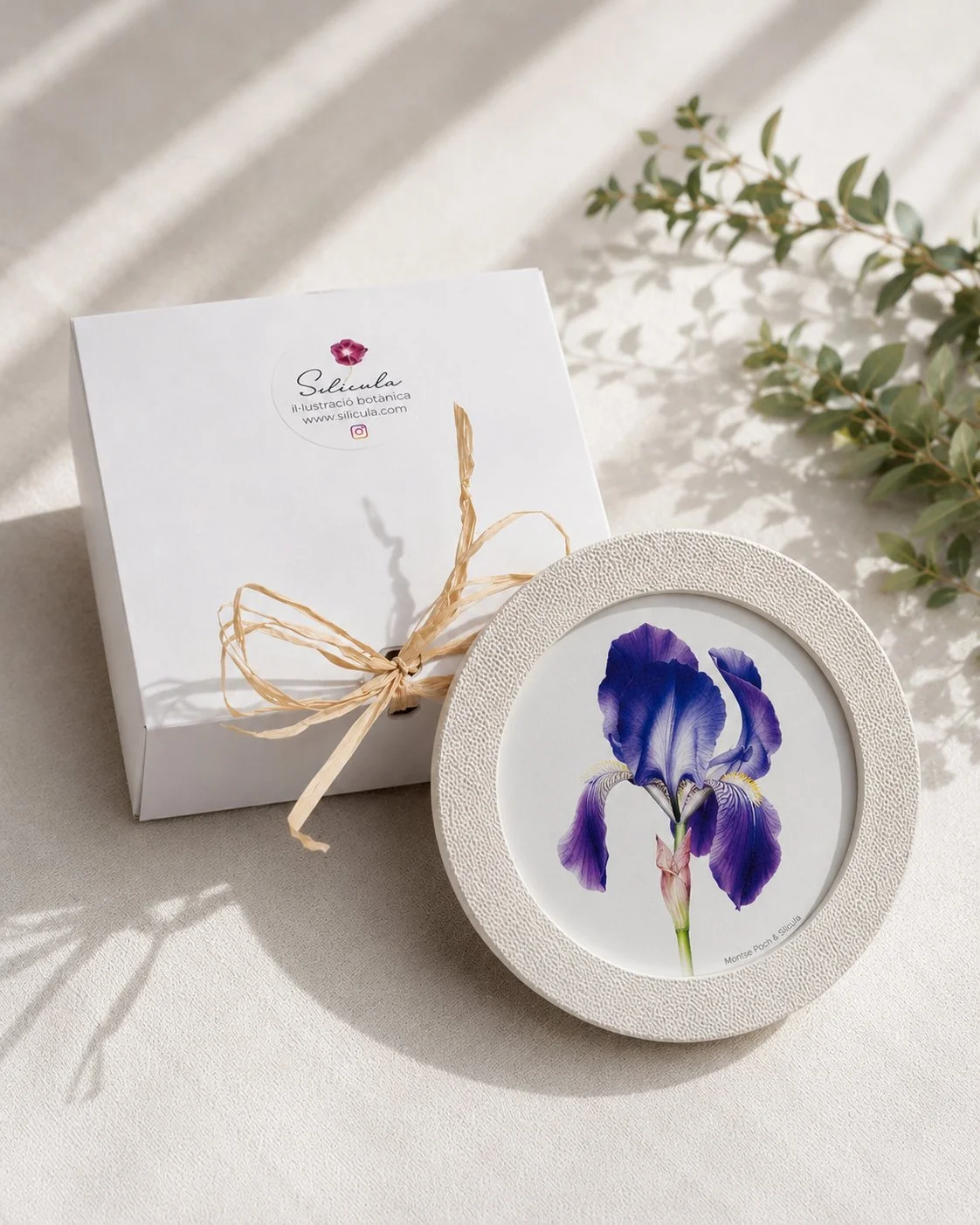 Packaging con marco circular con ilustración botánica en su interior de la colección Miniaturas del jardín.