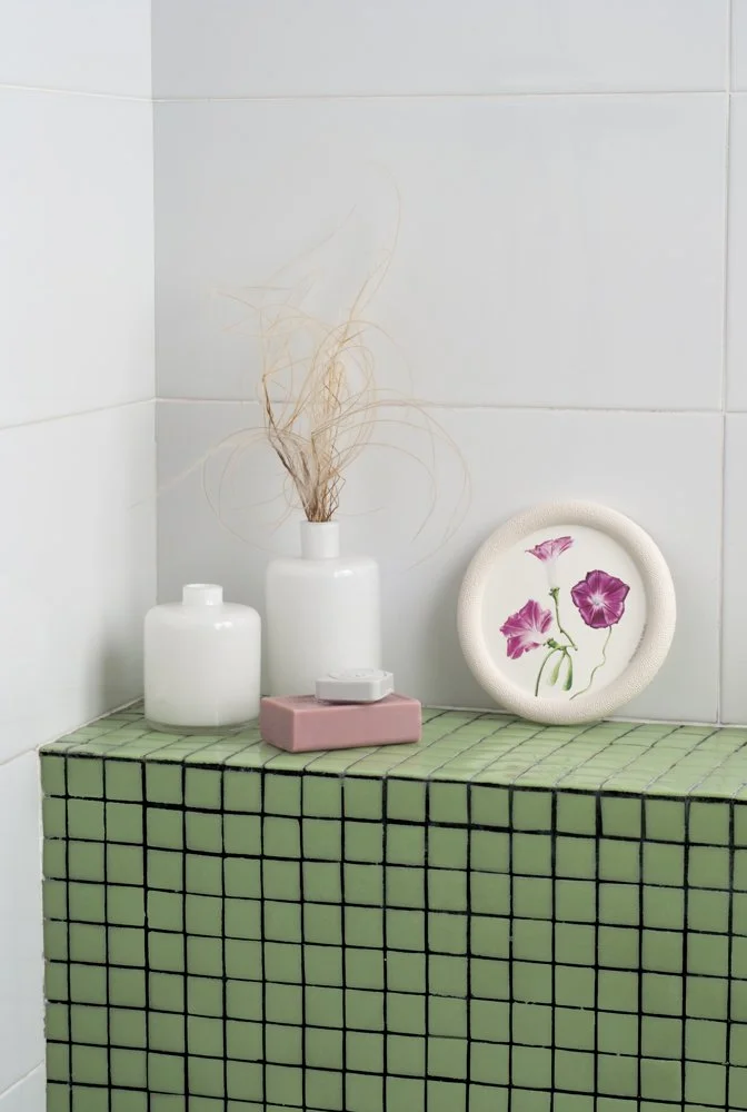 Nueva colección de cuadros con reproducciones de plantas y flores en acuarela. Marcos originales con múltiples combinaciones. Personaliza tu hogar con la colección Miniaturas del Jardín.