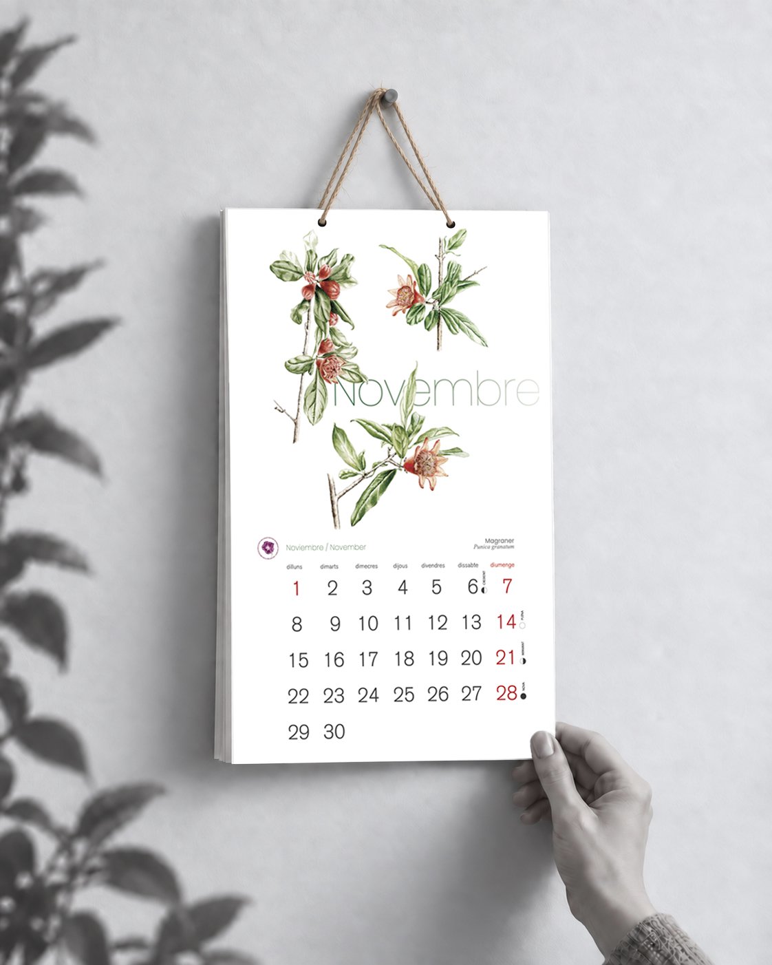Calendario botánico de pared 2027