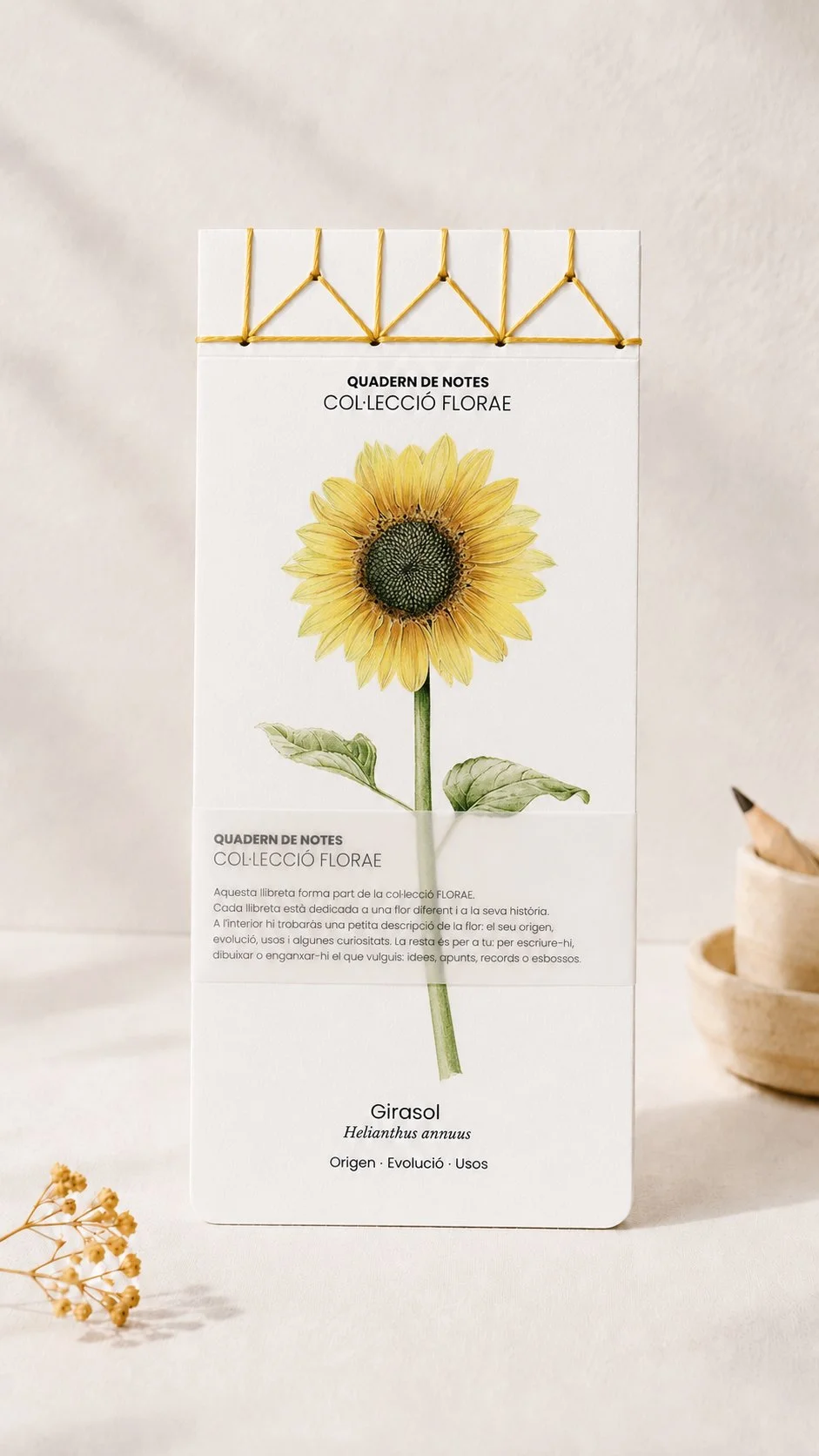 cuaderno-girasol-acuarela-florae-silicula.jpg
