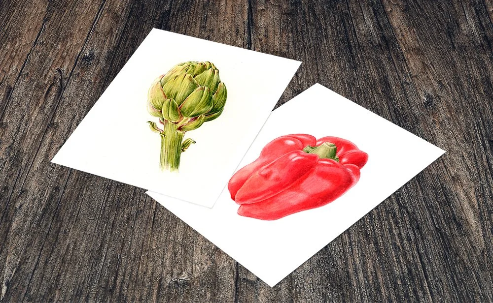 tarjetas ilustradas con hortalizas en acuarela-silícula