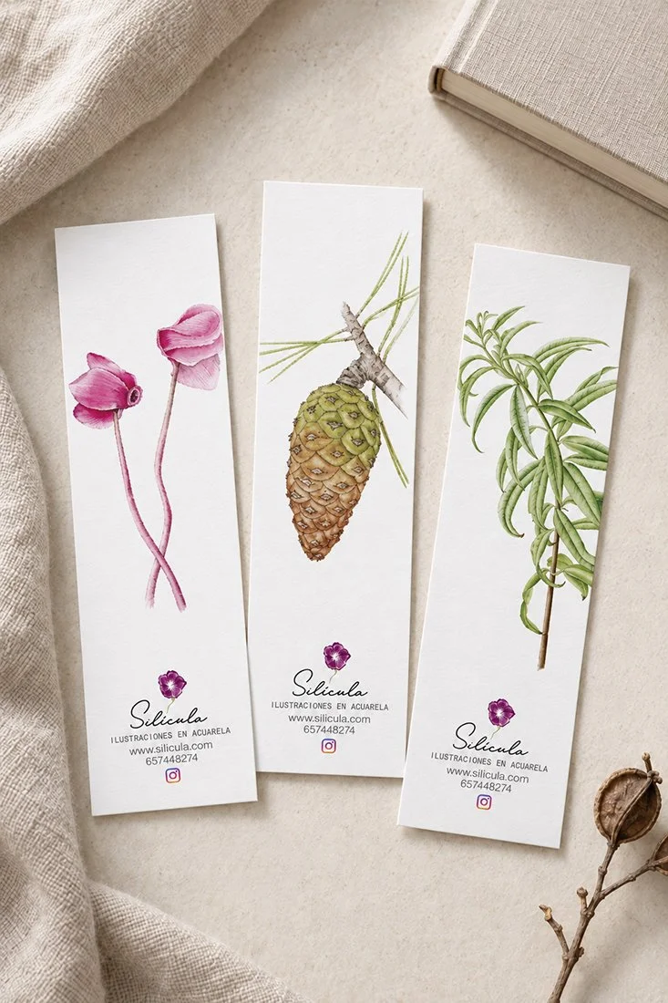 tres-marcapáginas-ilustraciones-botanicas-piña-silicula