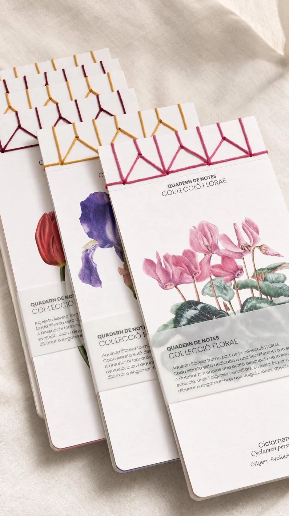 cuadernos-botanicos-con-ilustraciones-acuarela-silicula