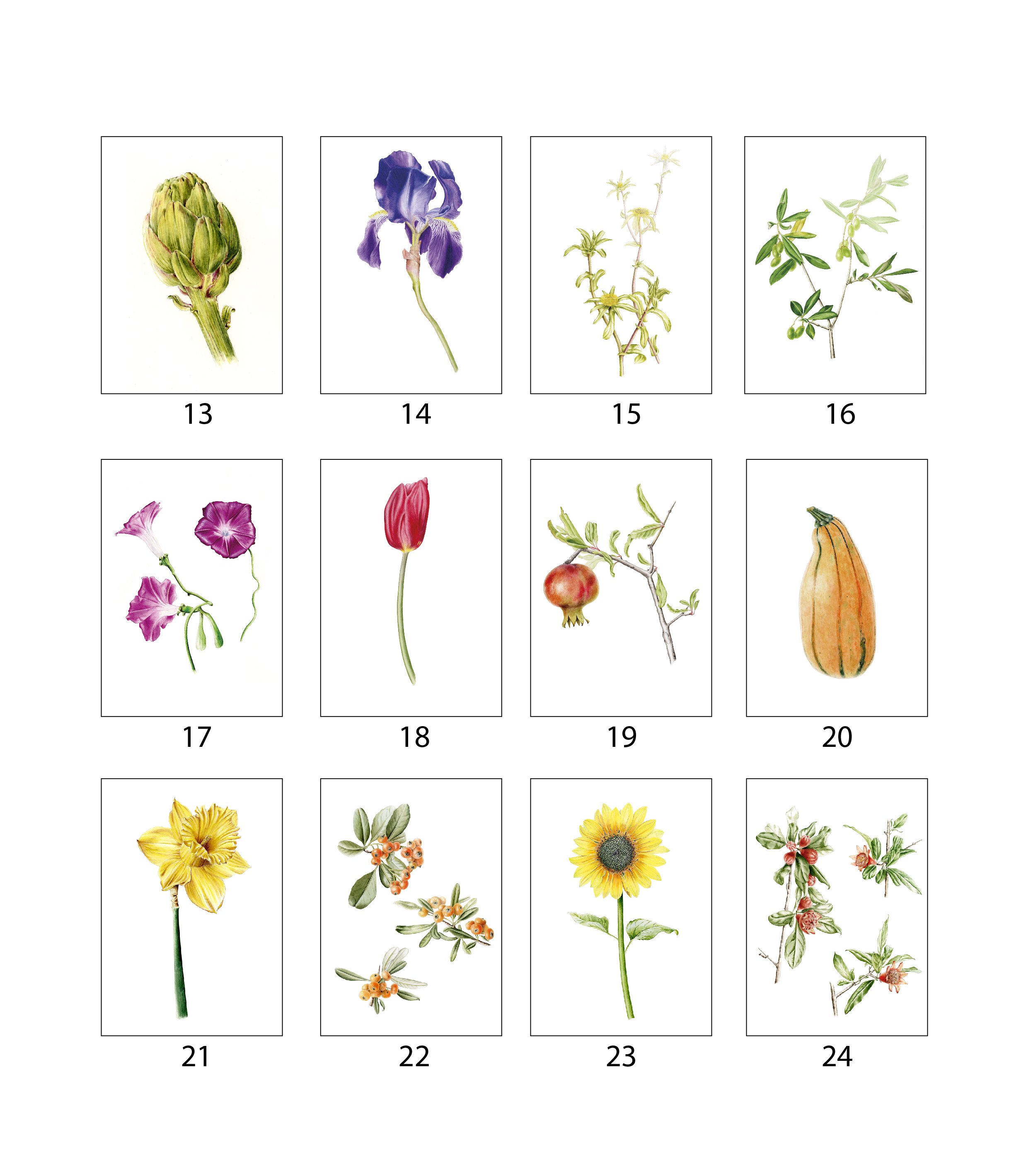 tarjetas-ilustradas-acuarela-numeradas-silicula
