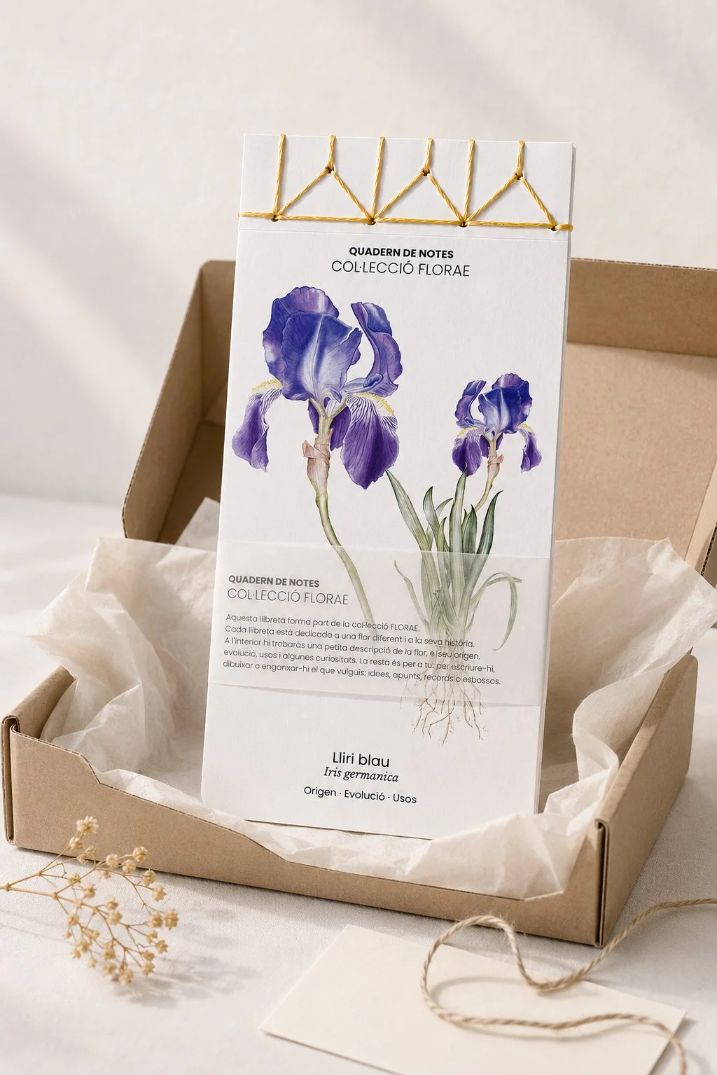 packaging-cuaderno-botanico-iris-silicula.jpg