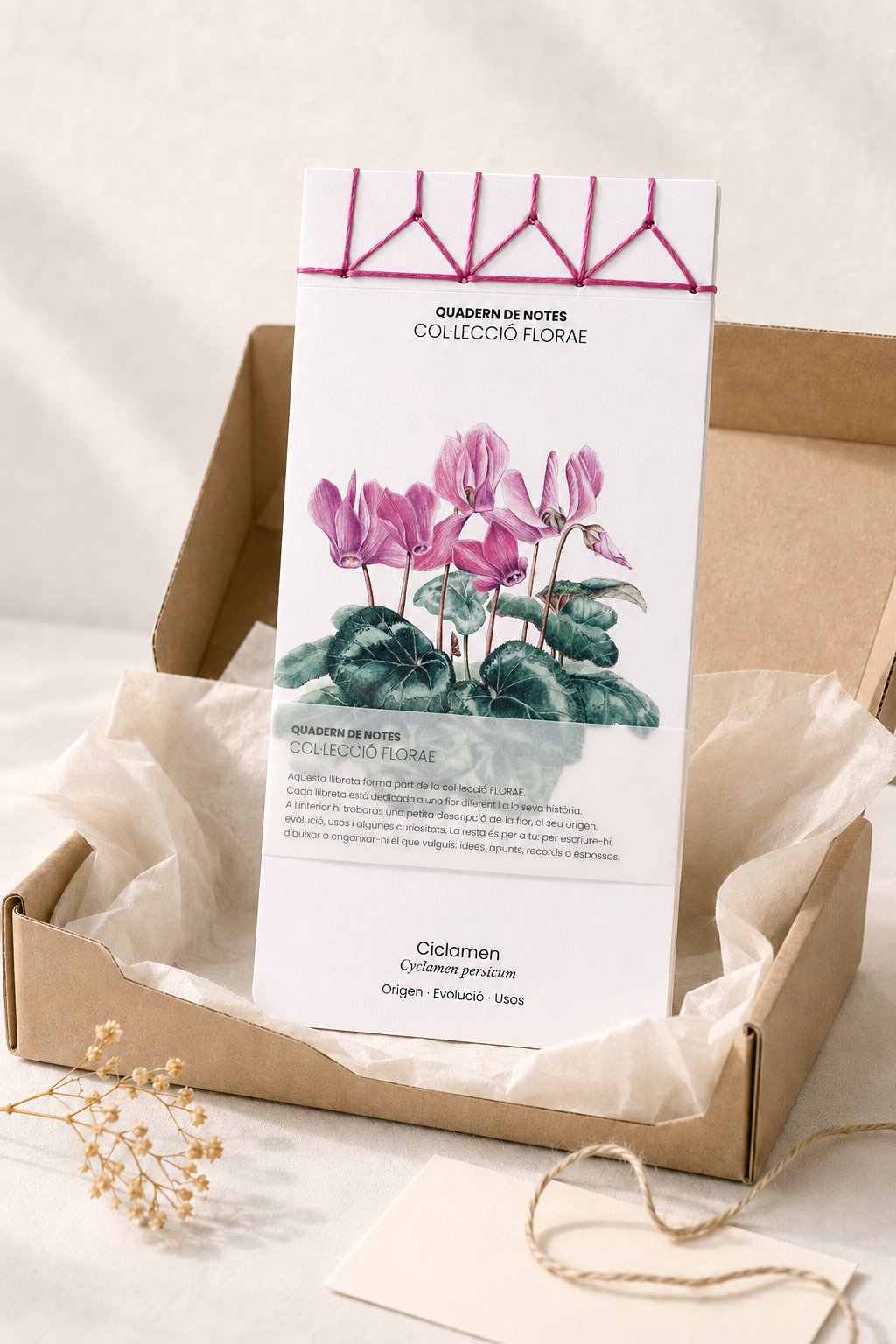 packaging-cuaderno-botanico-ciclamen-silicula.jpg