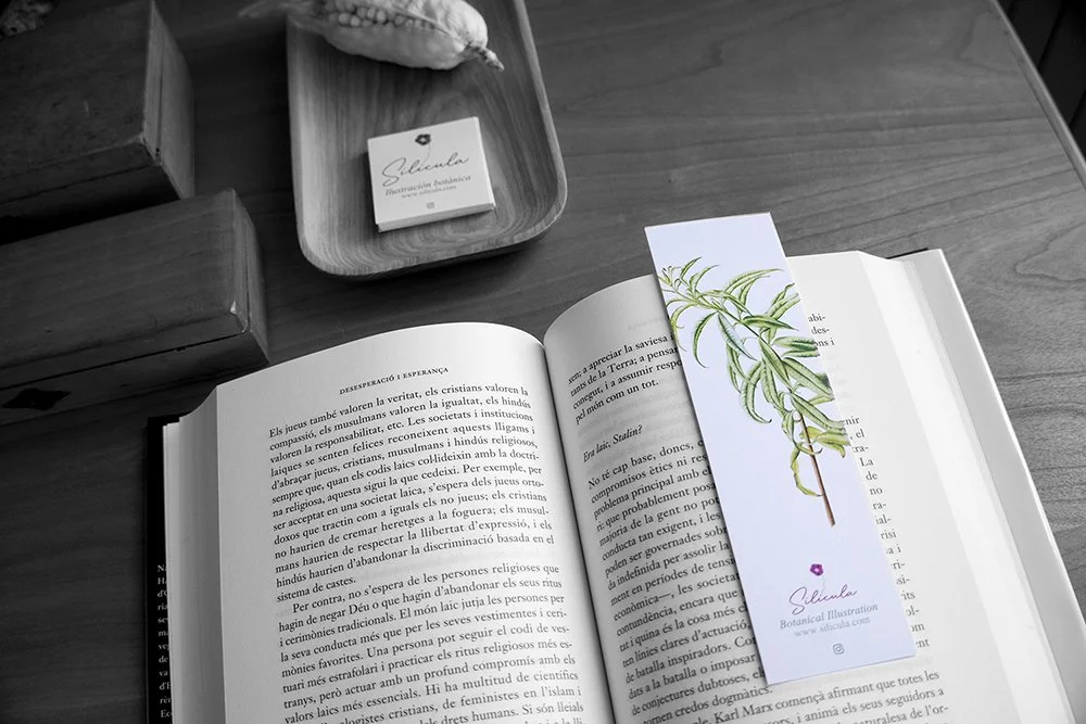 punto-libro-silicula_2.jpg