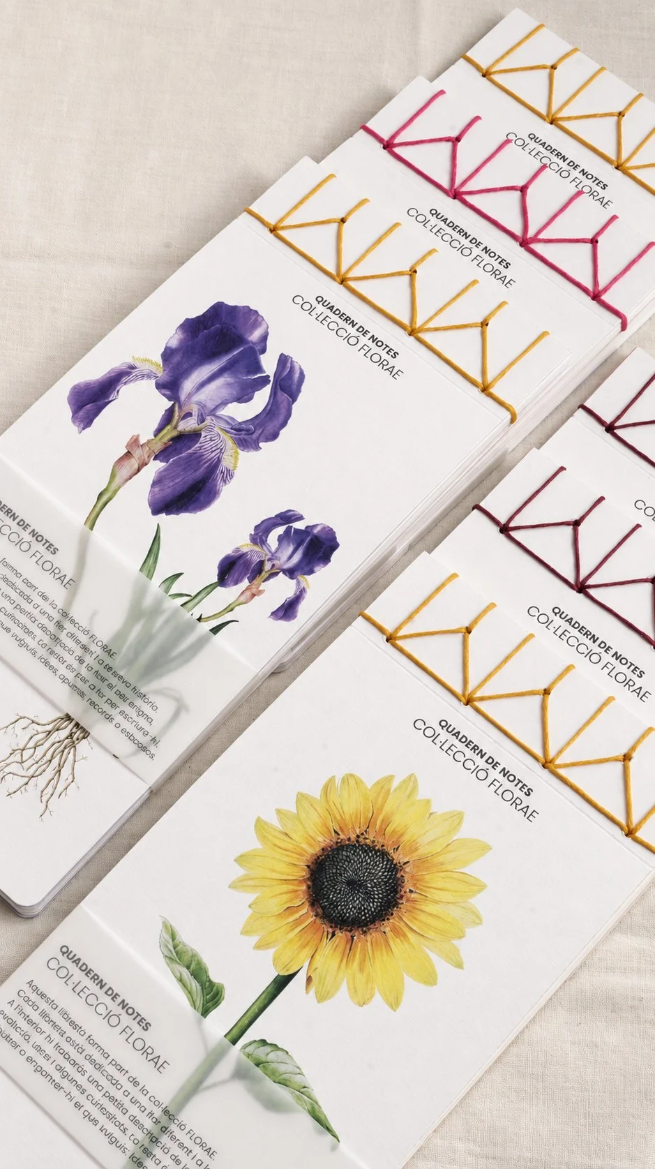 cuadernos-botanicos-ilustracion-acuarela-silicula