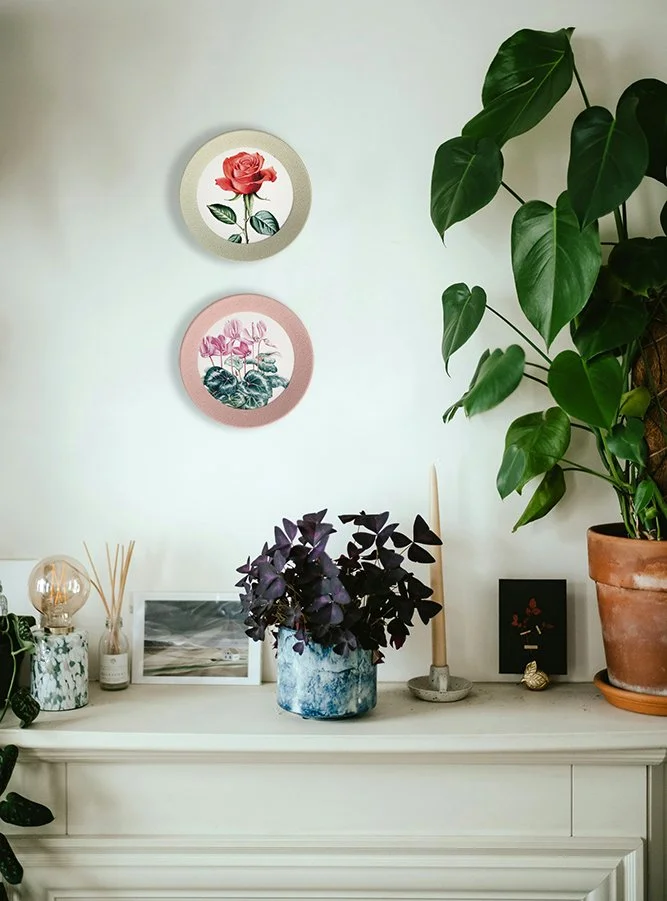 Nueva colección de cuadros con reproducciones de plantas y flores en acuarela. Marcos originales con múltiples combinaciones. Personaliza tu hogar con la colección Miniaturas del Jardín.